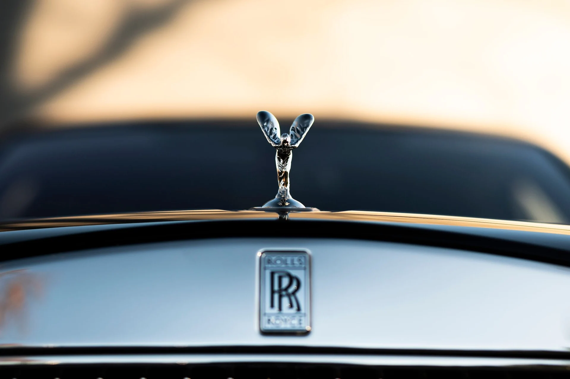 mph008_1042369497_023198333821403d944f63c22db342e6_c4705fa84a