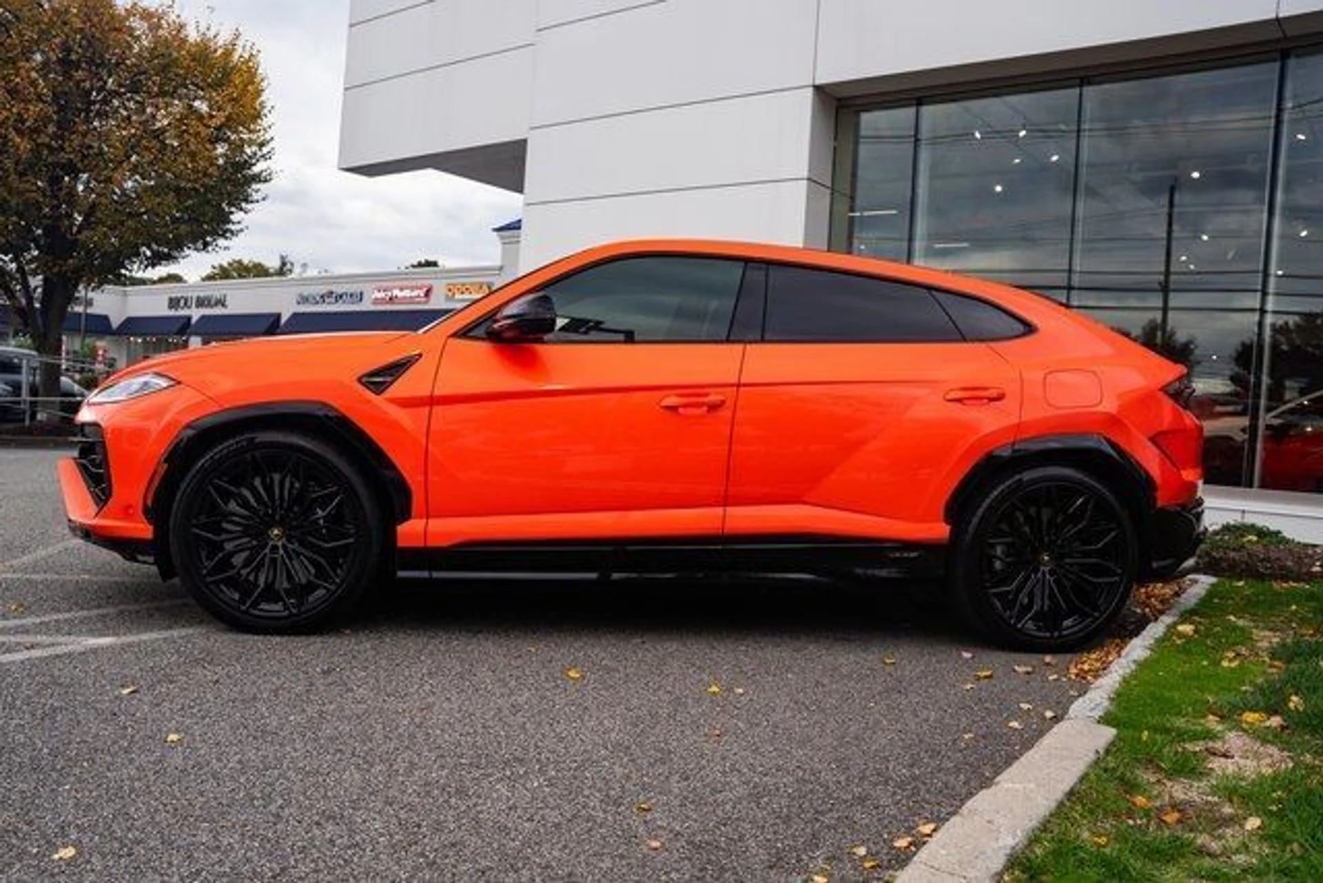 mph008_1100793213_b75539332e3663060a914beaee8fbf6e_c331805161