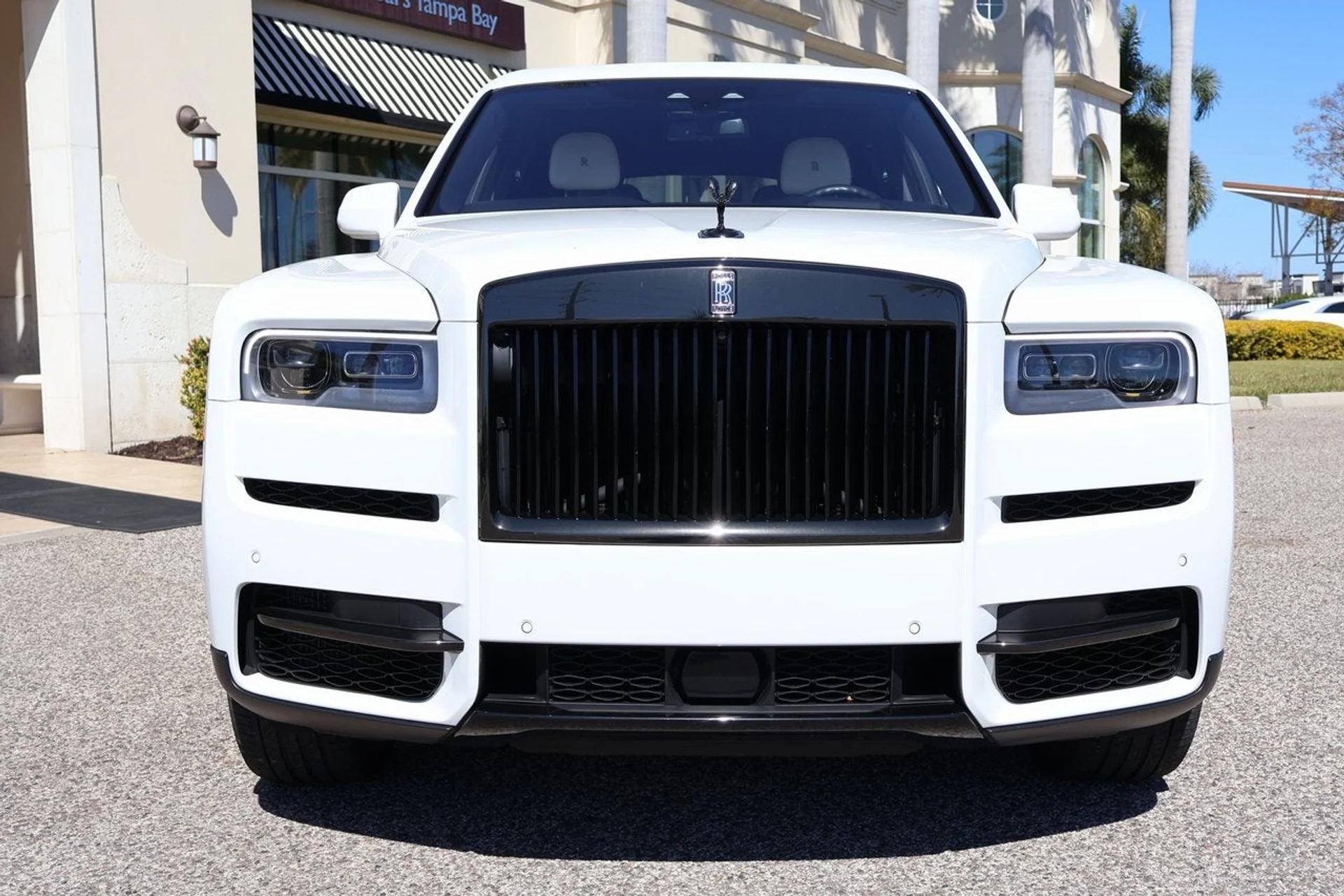 mph008_1136975284_9_20c02403d4