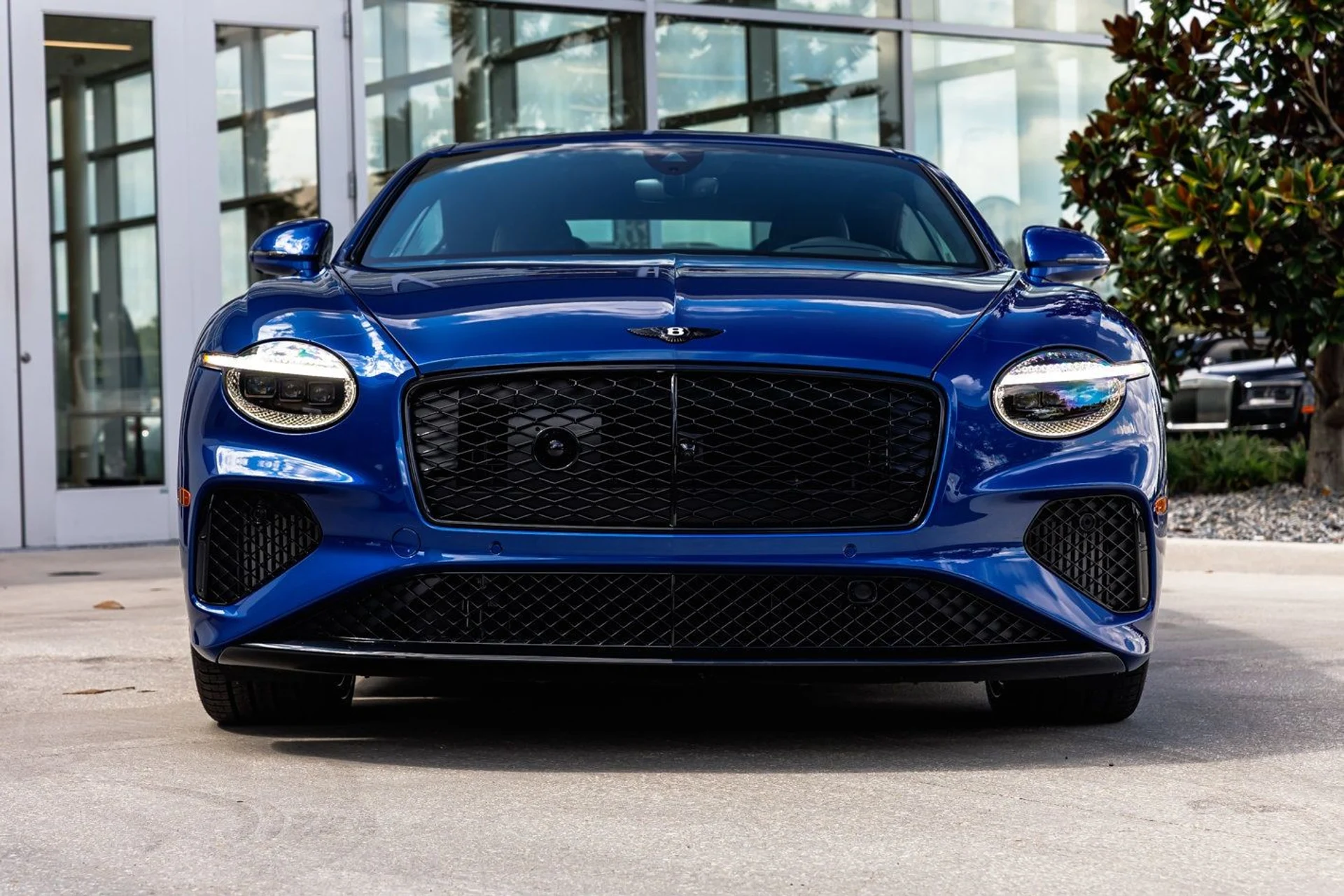 mph008_1238487524_a75666f33a5aae6e1c39d7ea07a5ff32x_bef0280e2d