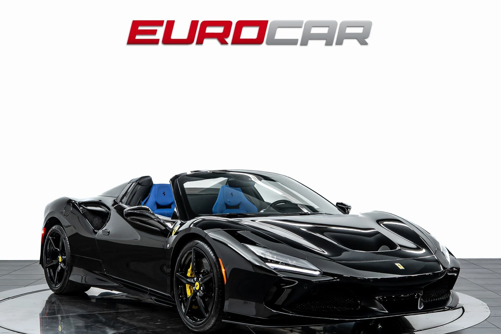 mph008_1239594294_image_9_91e28ba24b