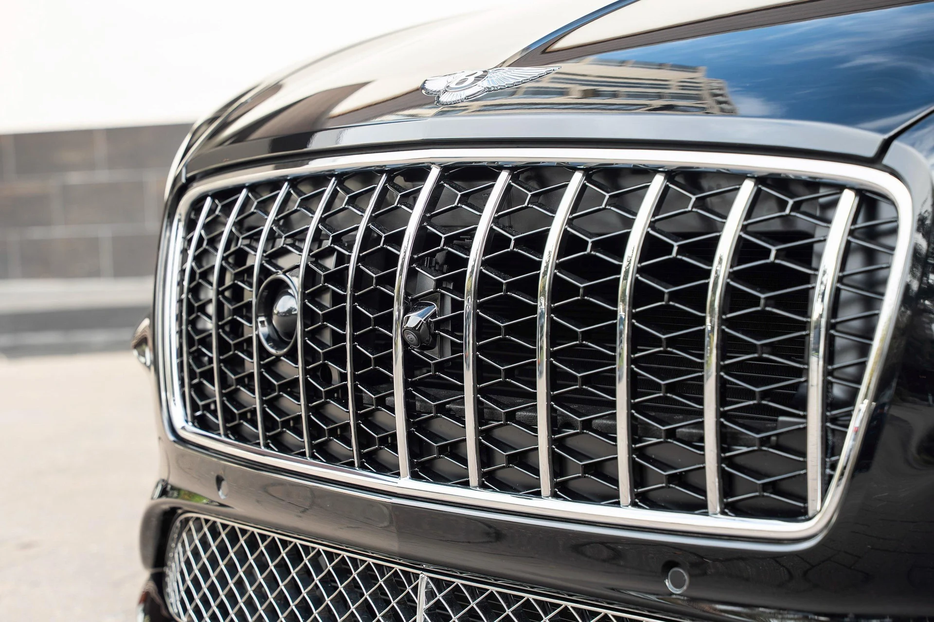 mph008_1259521826_462758408_69200963af5727c8024d8174_86b4b6fab8