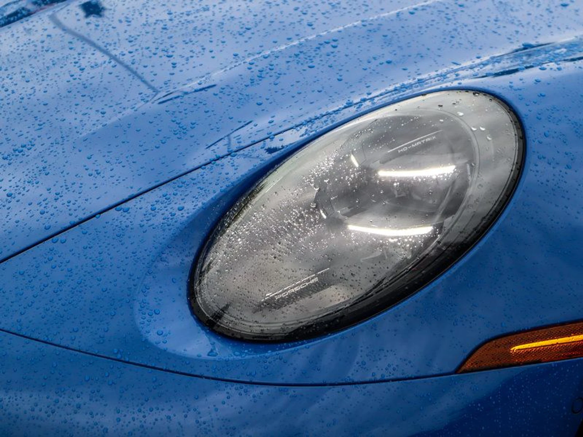 mph008_1274100638_37074231_06962_5d7c50ca1f2416101aaeea32a9043558_ff77262d3f