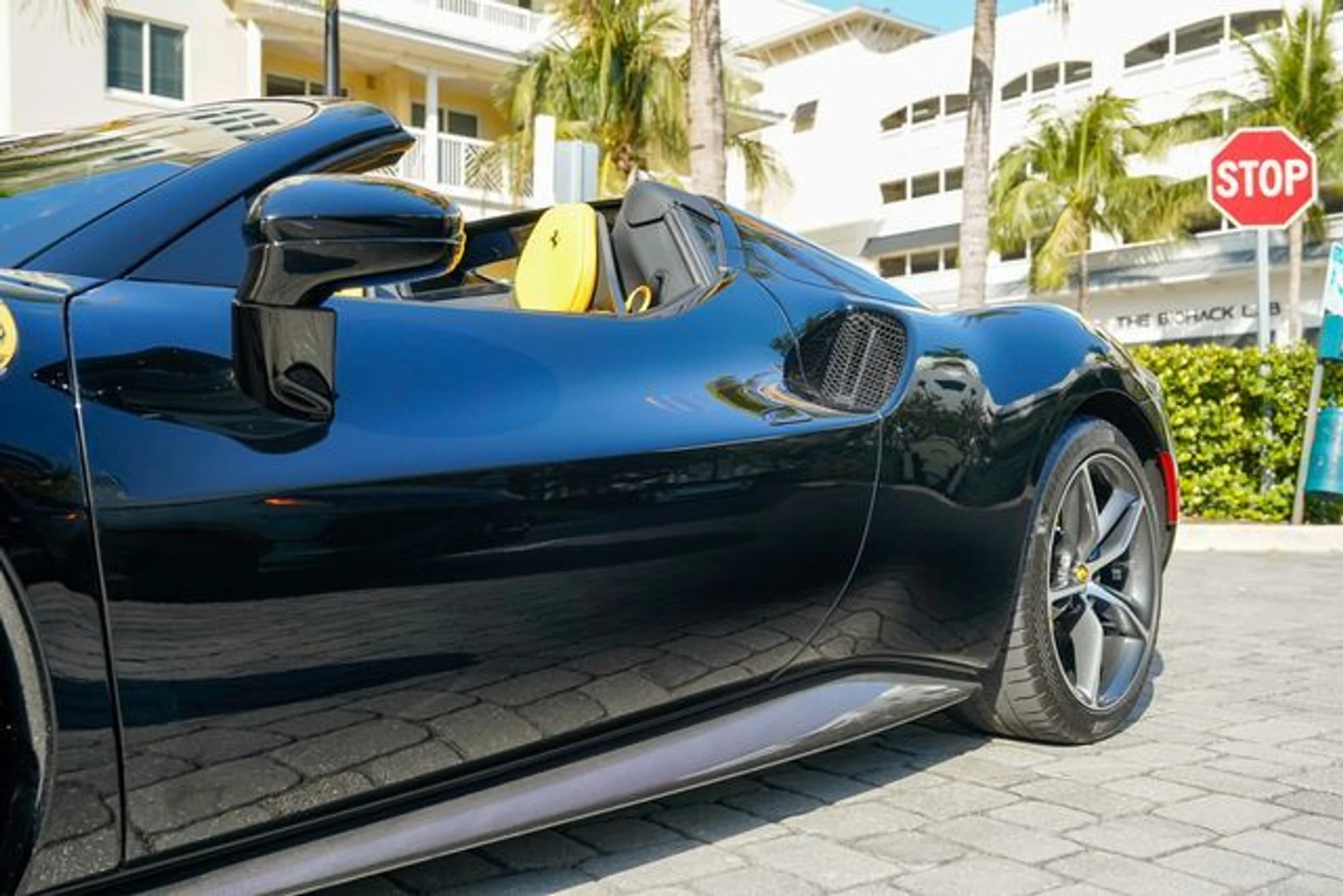 mph008_1281789400_22988453_9_b743353be5