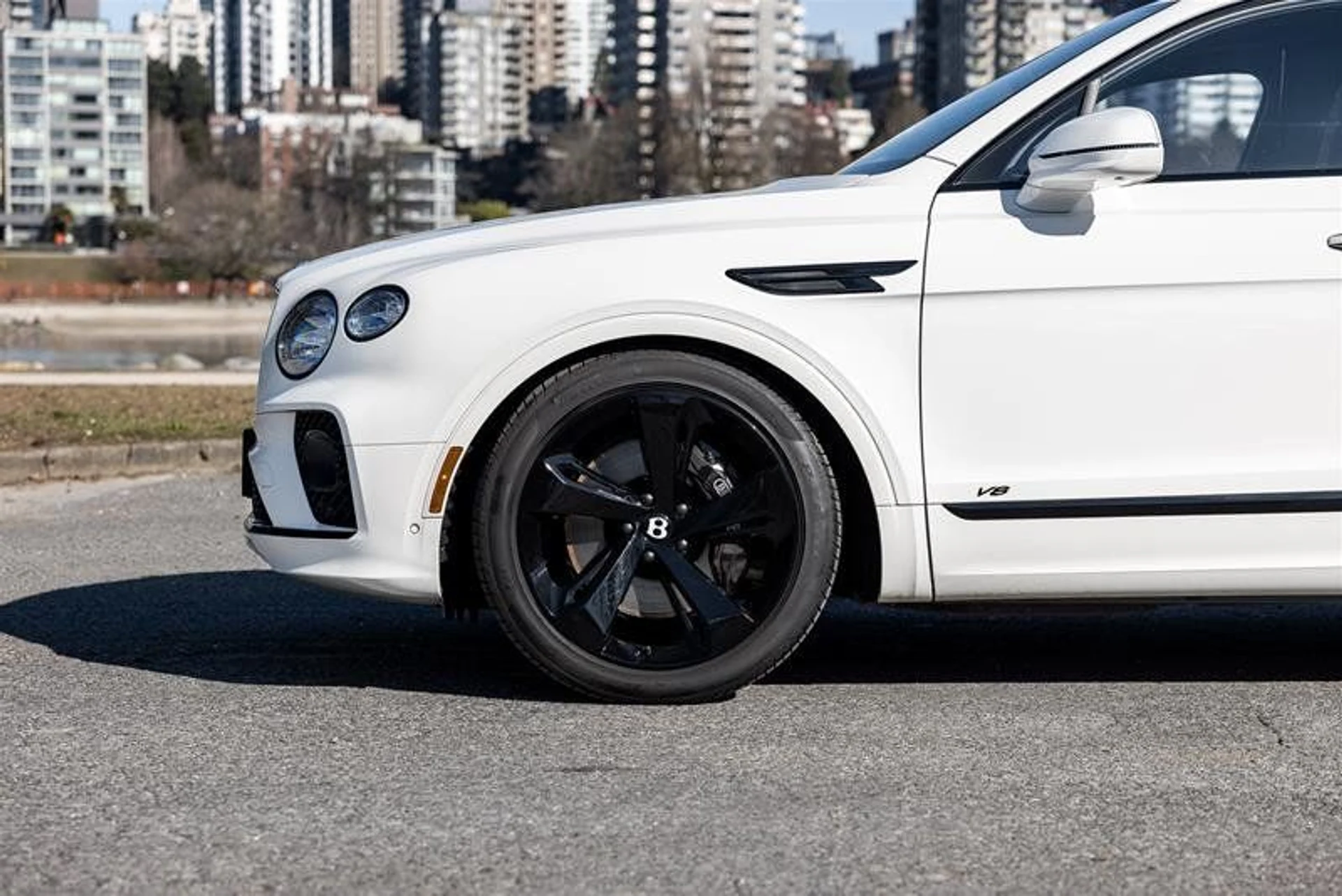 mph008_1381421166_37850546_00502_11783903_1611765081_eec8c4dda3