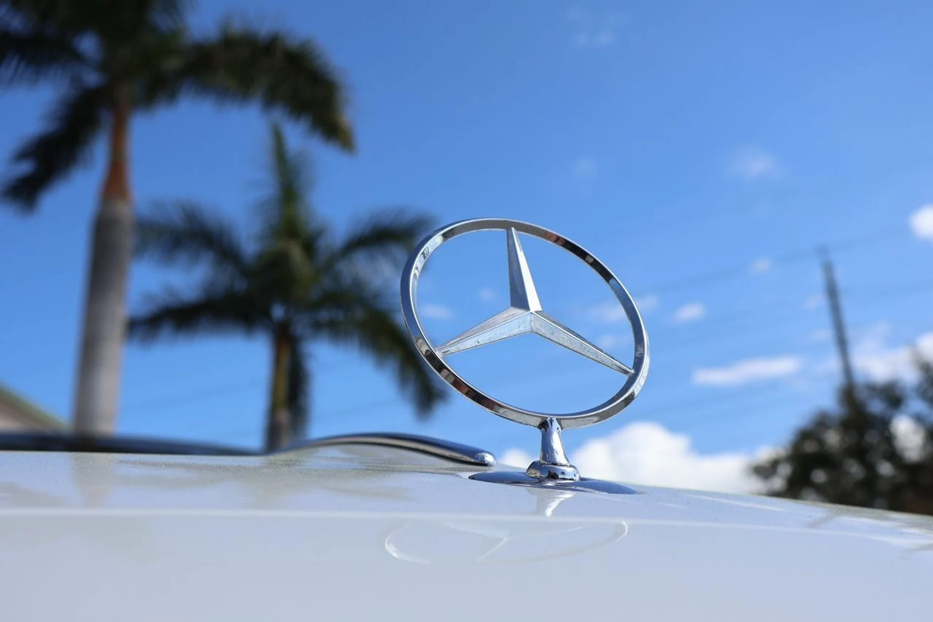 mph008_1441199427_9_b38276afa6