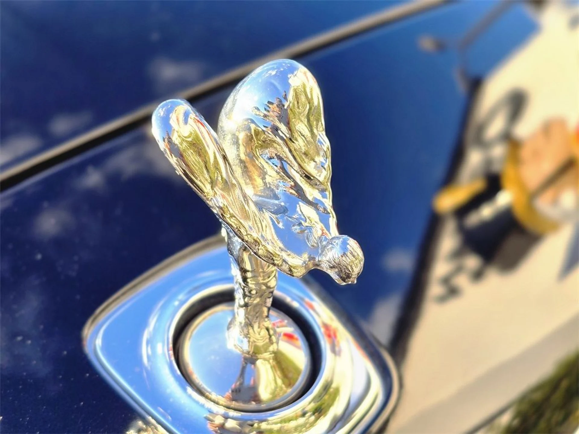 mph008_1442638282_6341646476b64dc120297a80bff01e87_35aa43f491