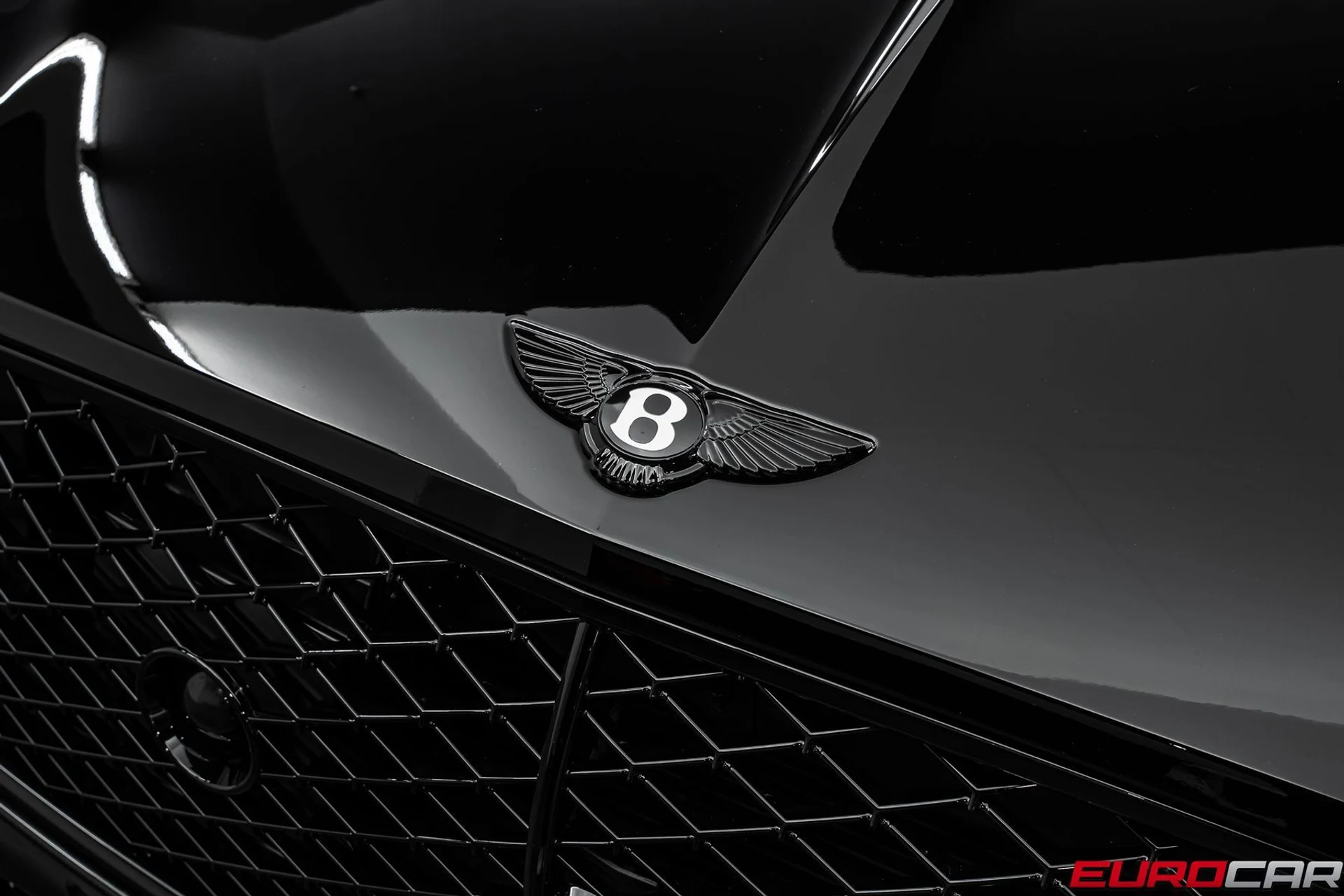 mph008_1461750612_bacc23ba_4a96_42d8_9126_c29007b02301_351c925ecc