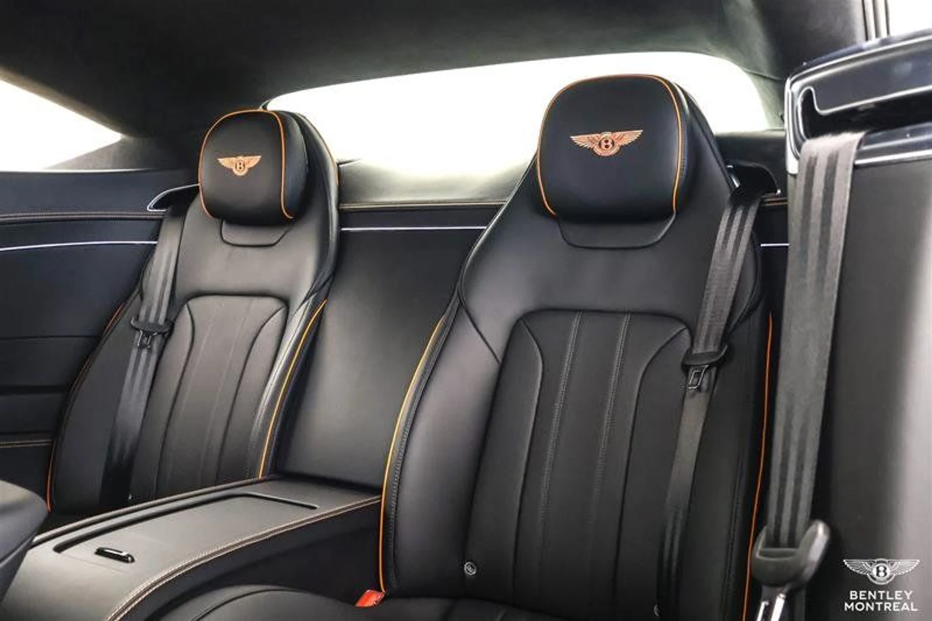 mph008_1492042458_37524108_09783_11402936_1559296244_005f63424b