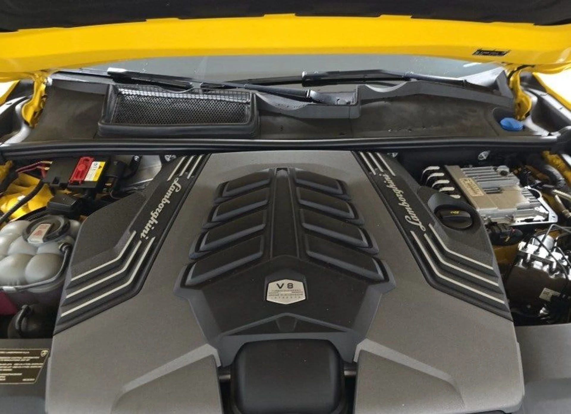 mph008_1498133435_1553d4225f822f52128620aa6e0264bcx_4599688467