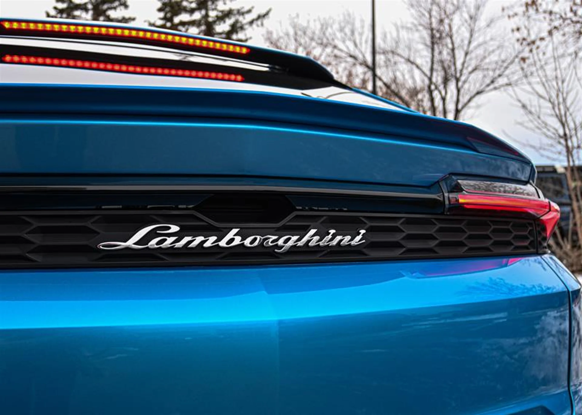 mph008_1502565057_11367502_1593883717_56c78ed20e