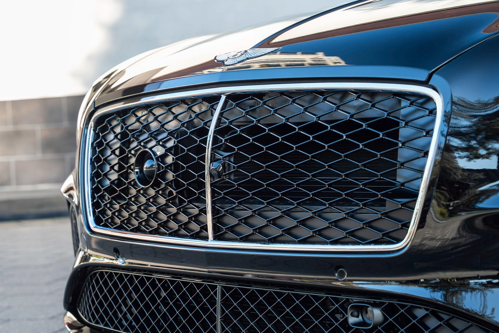 mph008_1520598076_470962001_6926a33414403a7e7b9d7a50_ed3c1583ab