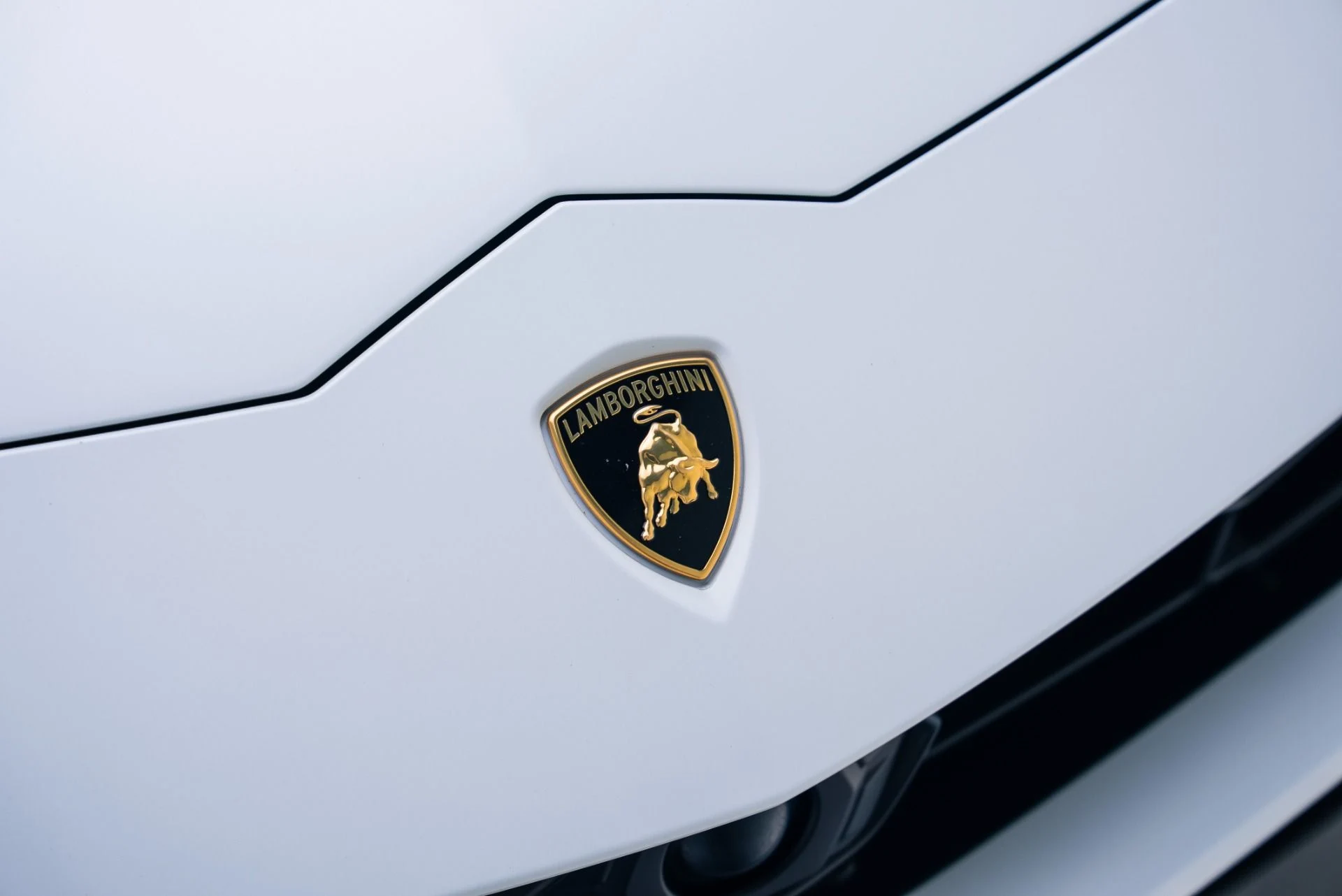 mph008_1734042275_Used_2022_Lamborghini_Urus_1764978399_29d7913a8f
