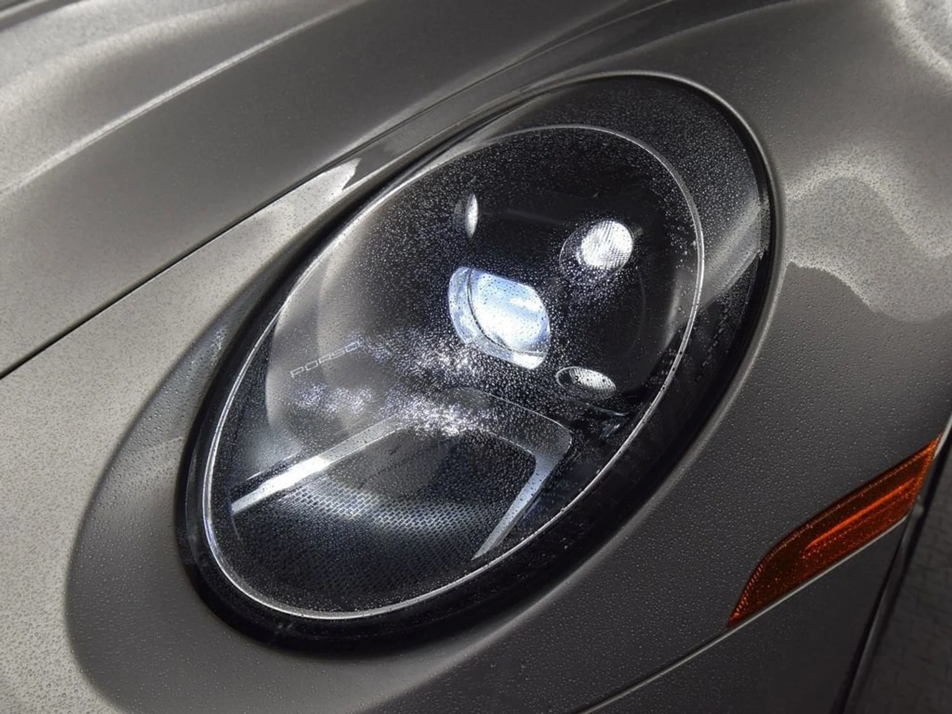 mph008_1771520112_886a656f5ba69aab945d19503ce65212x_a03ce172c9