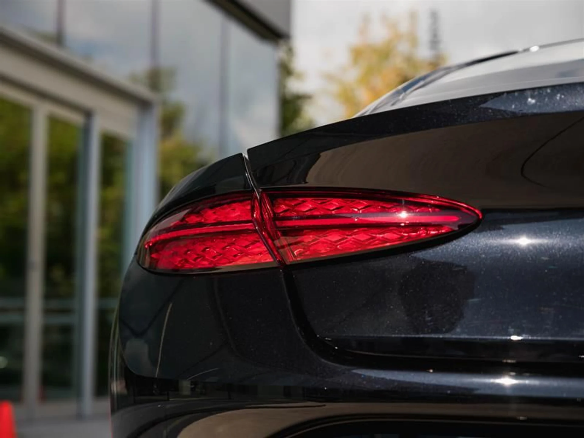 mph008_1791164635_t5l1xhon_f38346114e