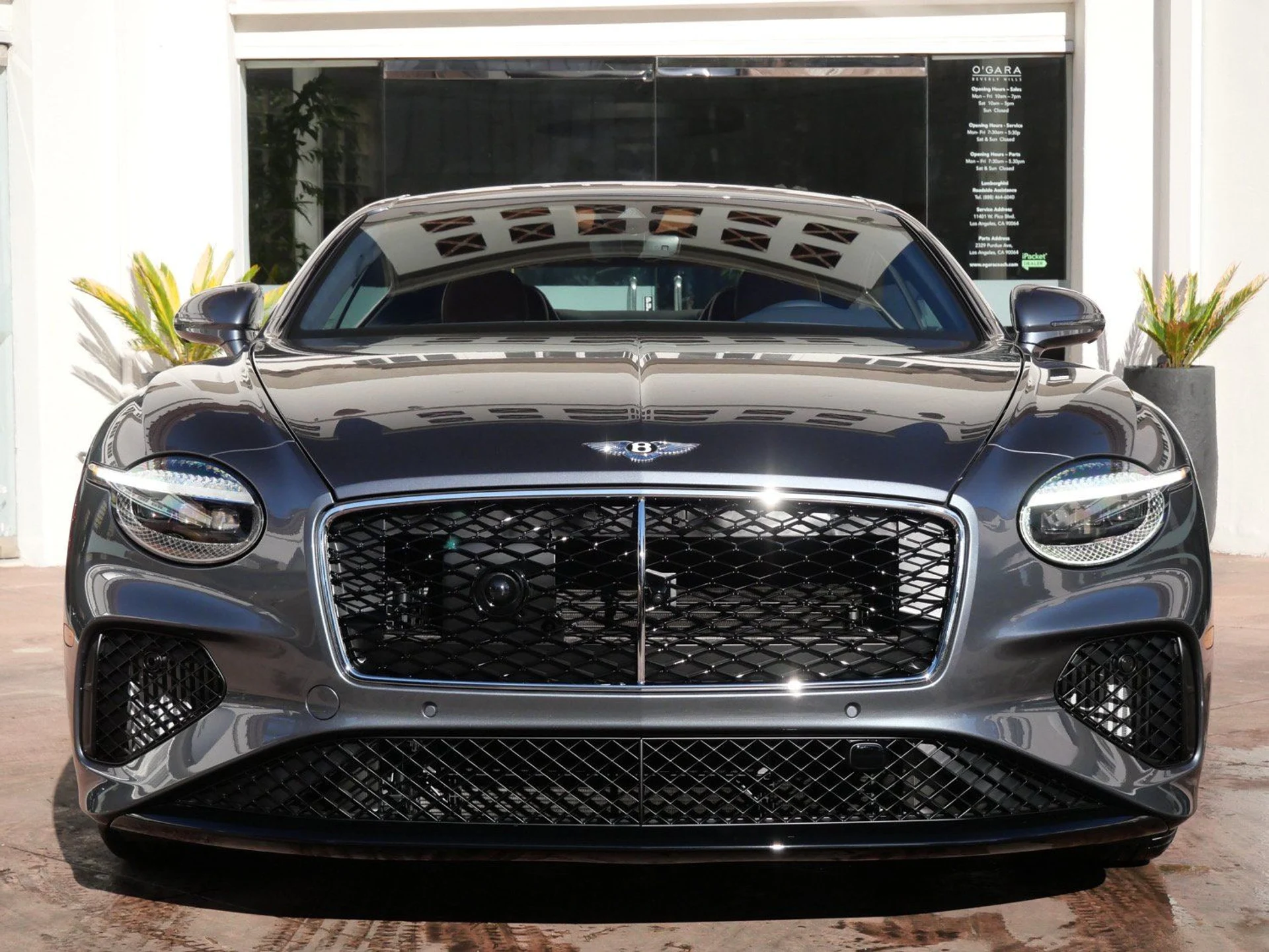 mph008_1800167047_dab50d5bead1f495177473b407ecaf04x_44764fb445