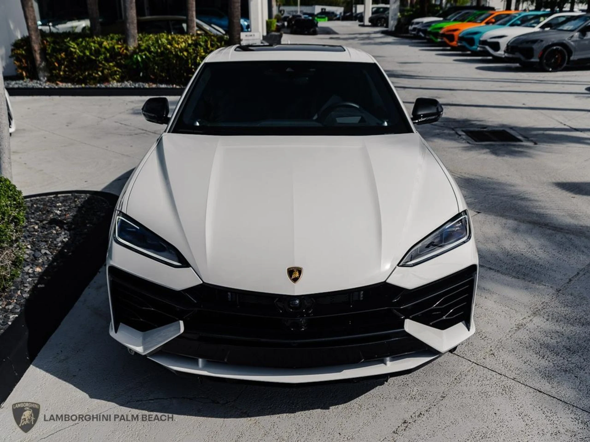 mph008_1811898849_72c2766c8d6856aa429a0879f018032e_9f91c49afb