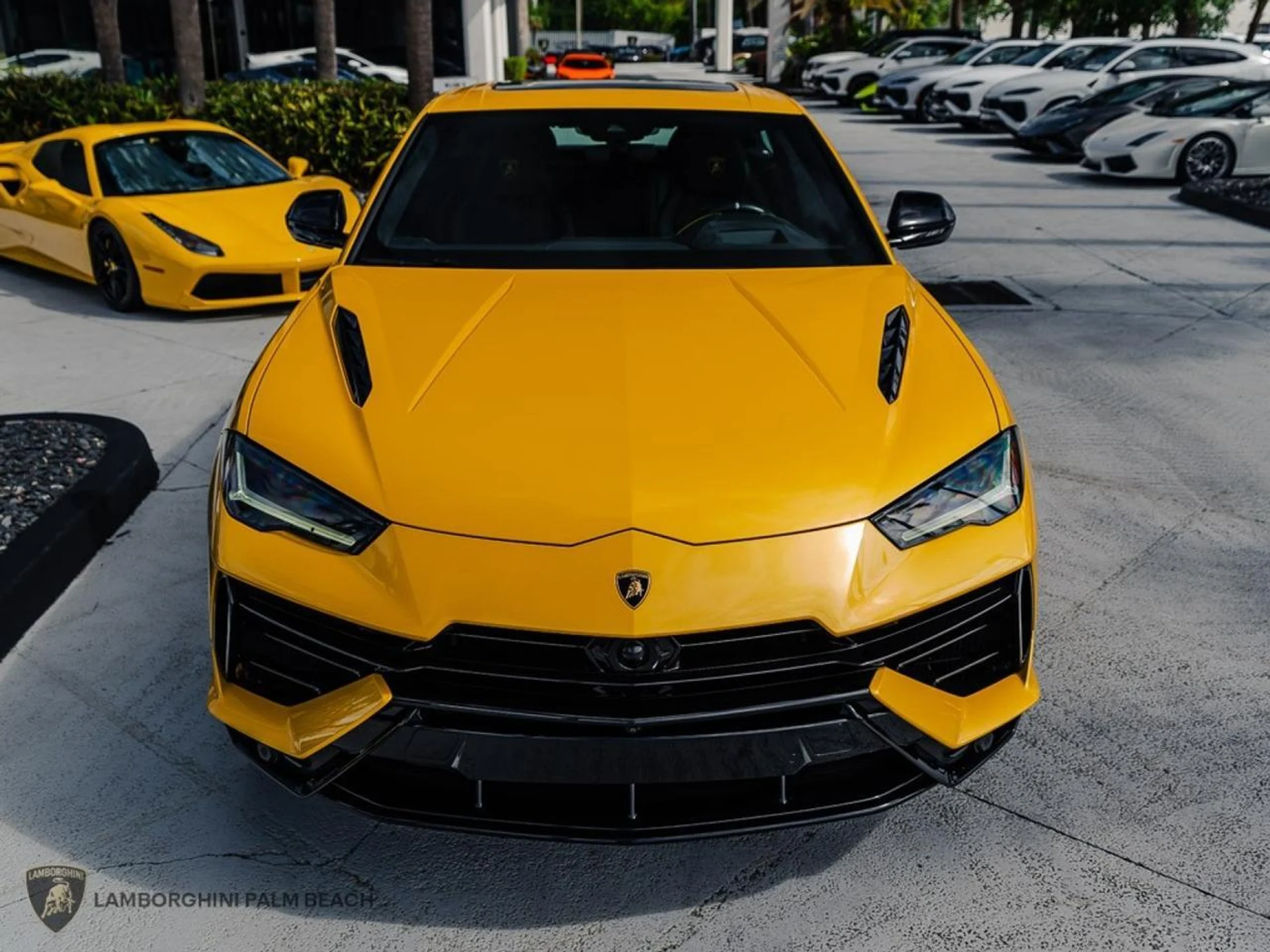 mph008_181617442_0876710f24f9faf0ce7fffc64596fad9_fad42d3e6a