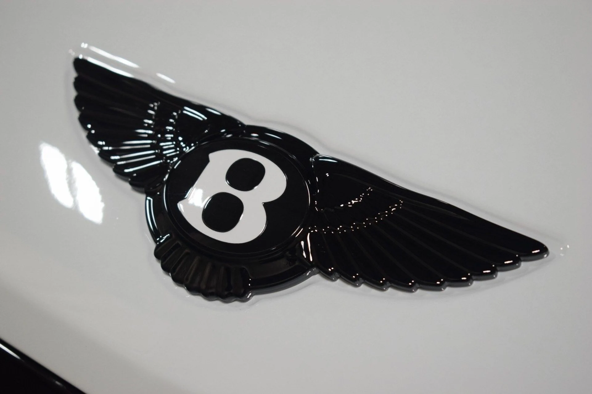 mph008_1855300951_c85b30ec21ea792cff9253d6c57f734cx_663f8c966a