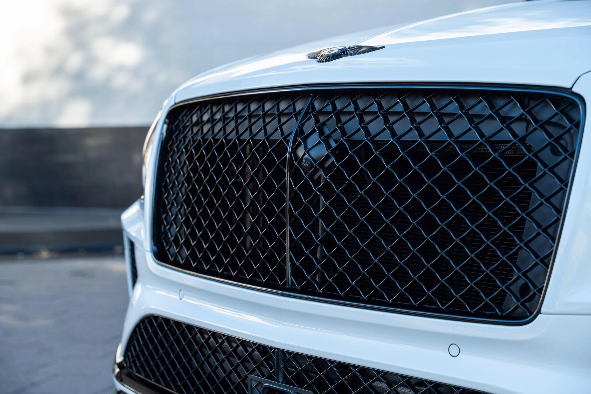 mph008_1857324473_478163256_69859503752b933c324799af_412377905f