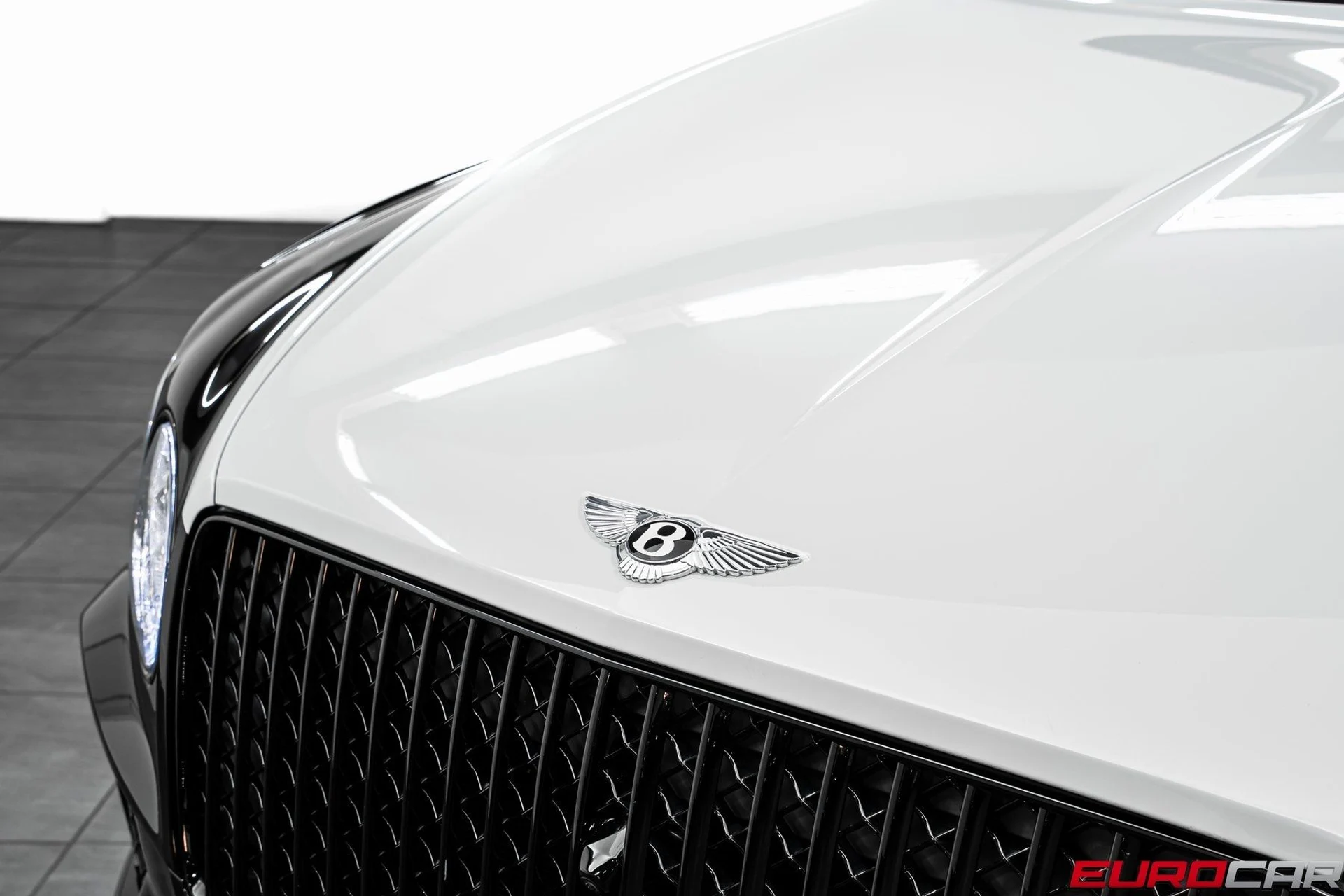 mph008_1867366653_image_9_5440ef50fe