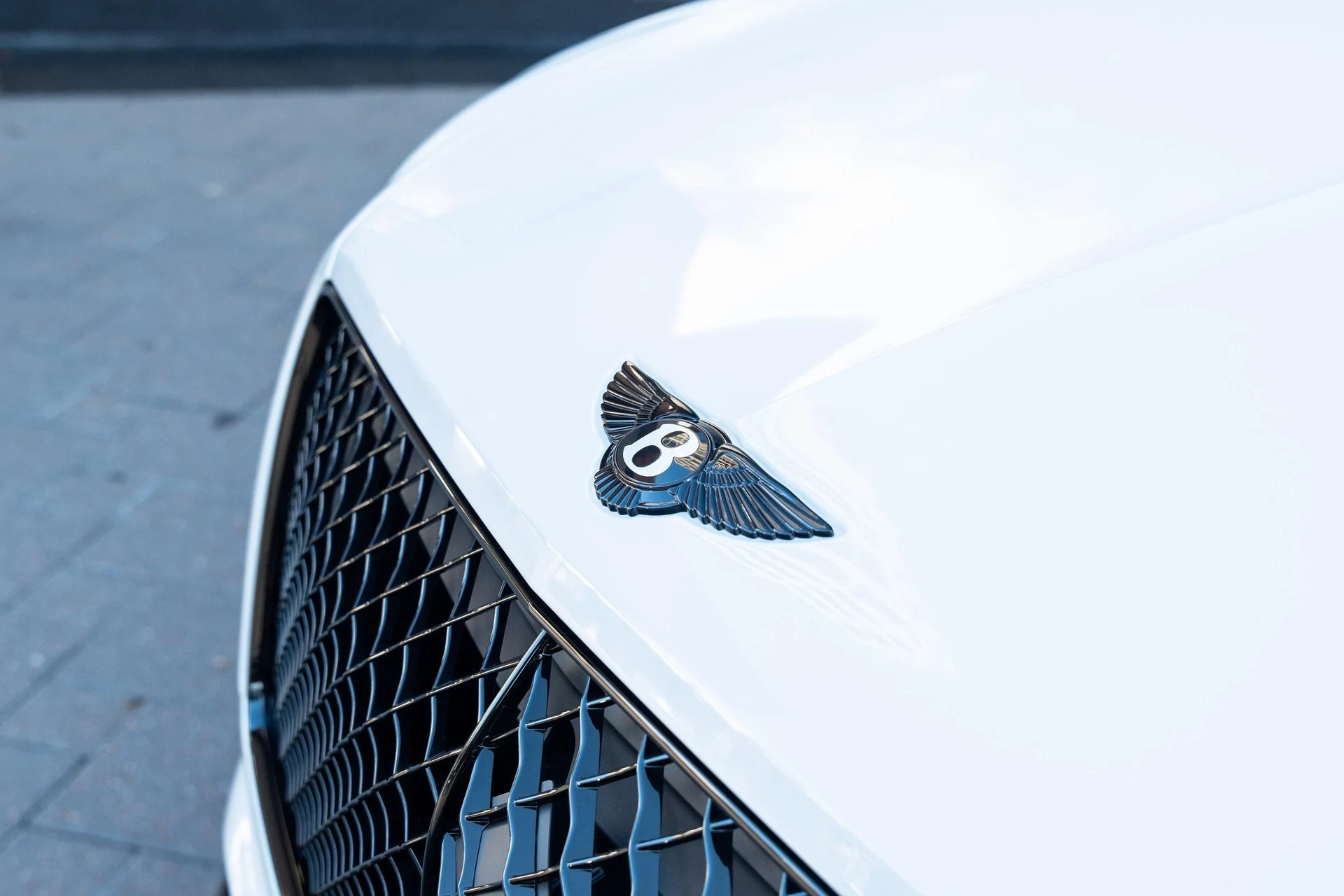 mph008_1877413258_389622357_677365152b7a94b33fd419d3_cfab010181