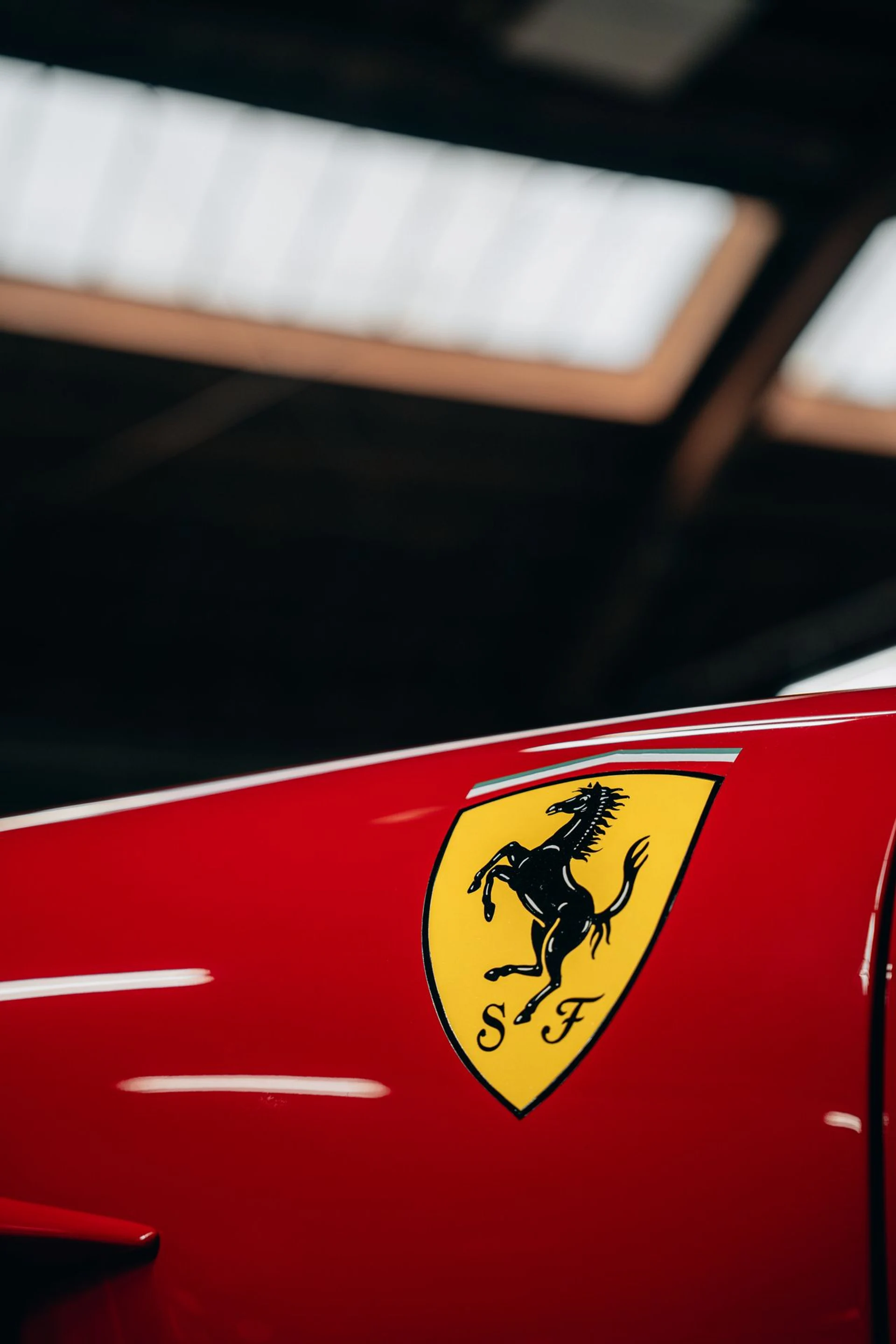 mph008_1878424465_2ecce74b5982cb8bab70adfeecf49256x_5021afd2ef