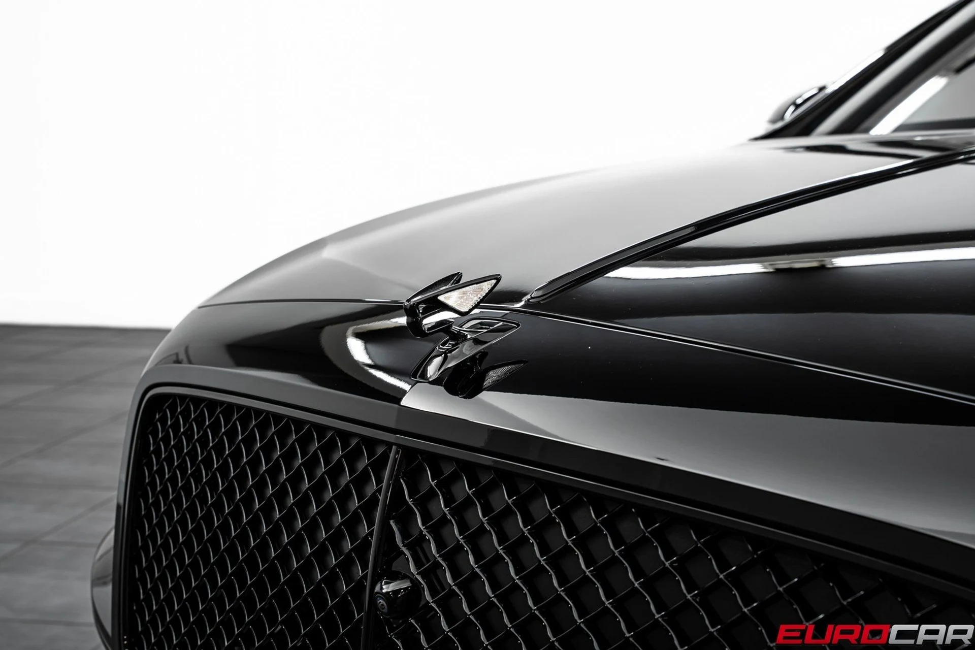 mph008_188750519_image_9_d21a55c14f