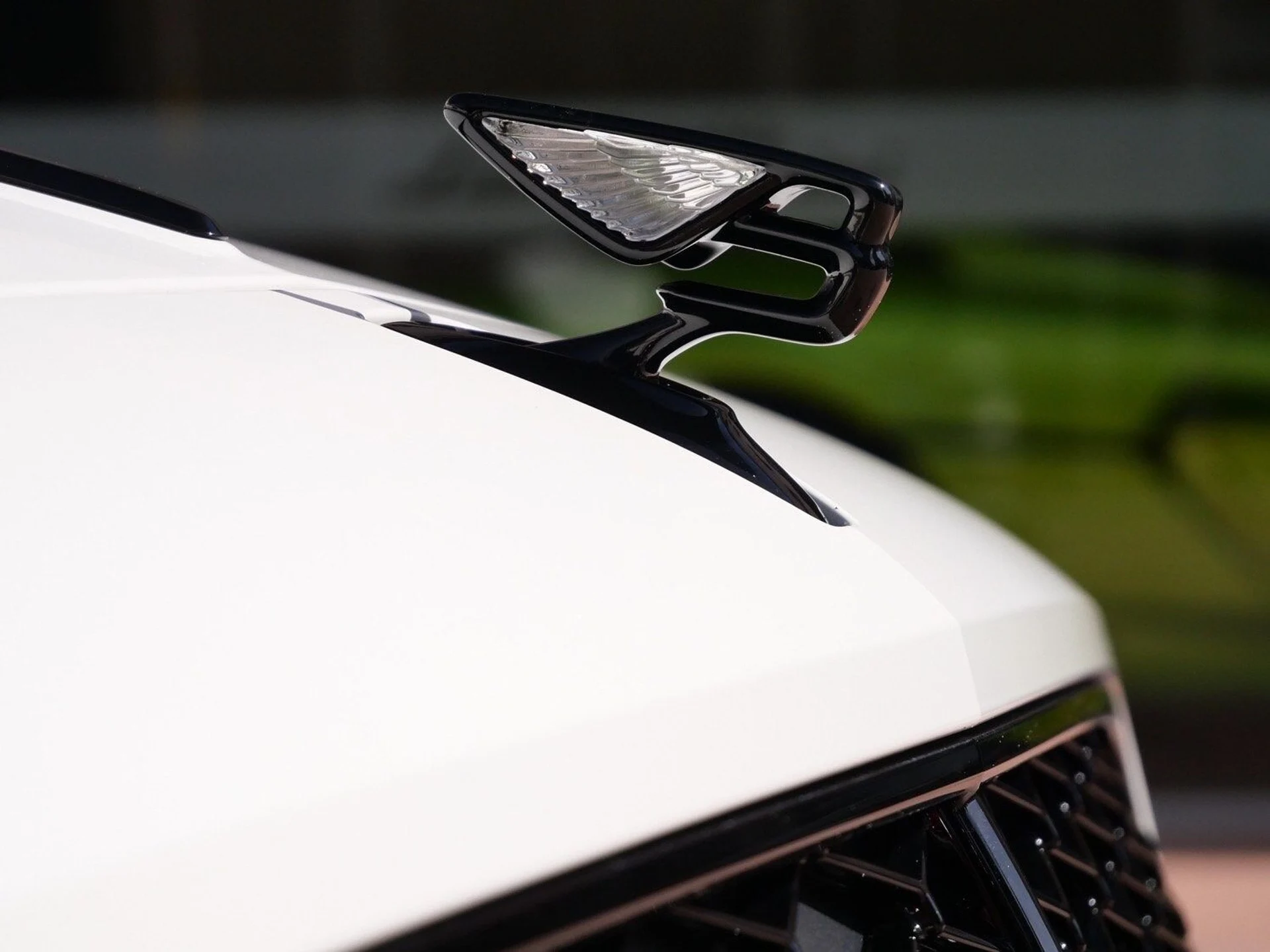 mph008_1895954010_8470d5a9c16014a124249f619cad7363x_0e945a8b6a