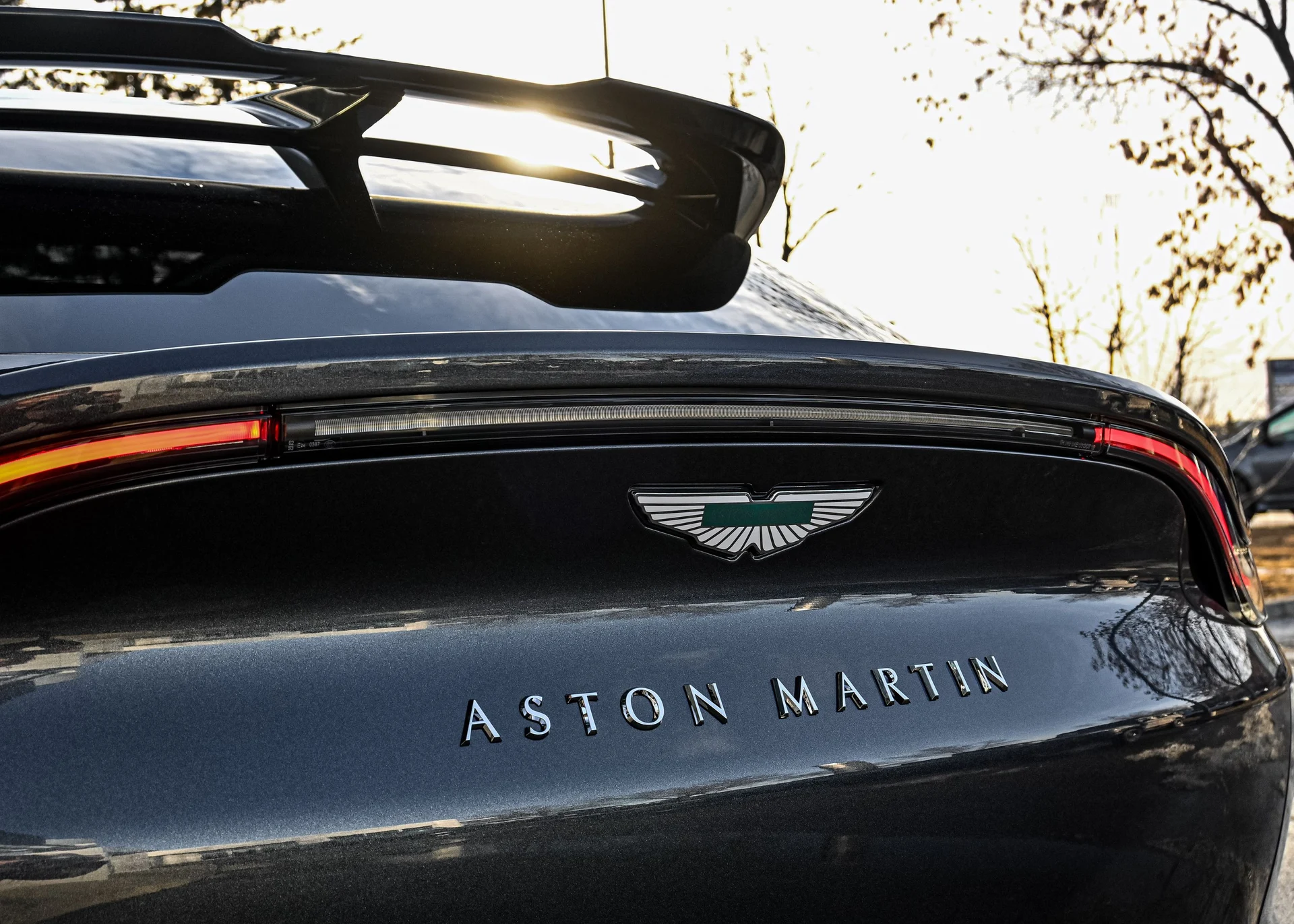 mph008_1928339826_5c23fb1e_eb0d_4bdb_b8e8_60167b059bdf_e50ca5ce5e