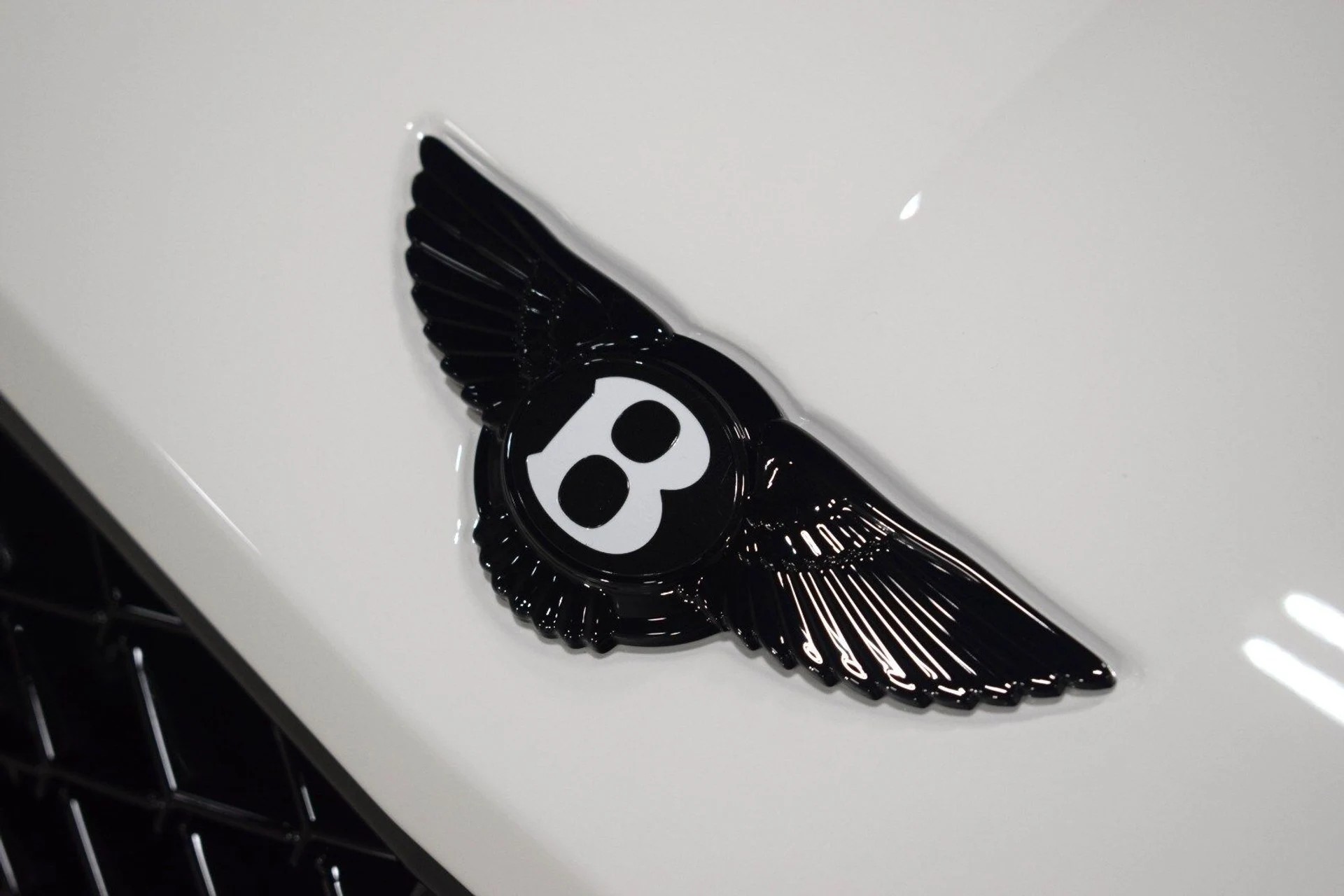 mph008_1936553900_8d77feb368b277ebb233e3b7cd5c658ax_5d78ea8b15