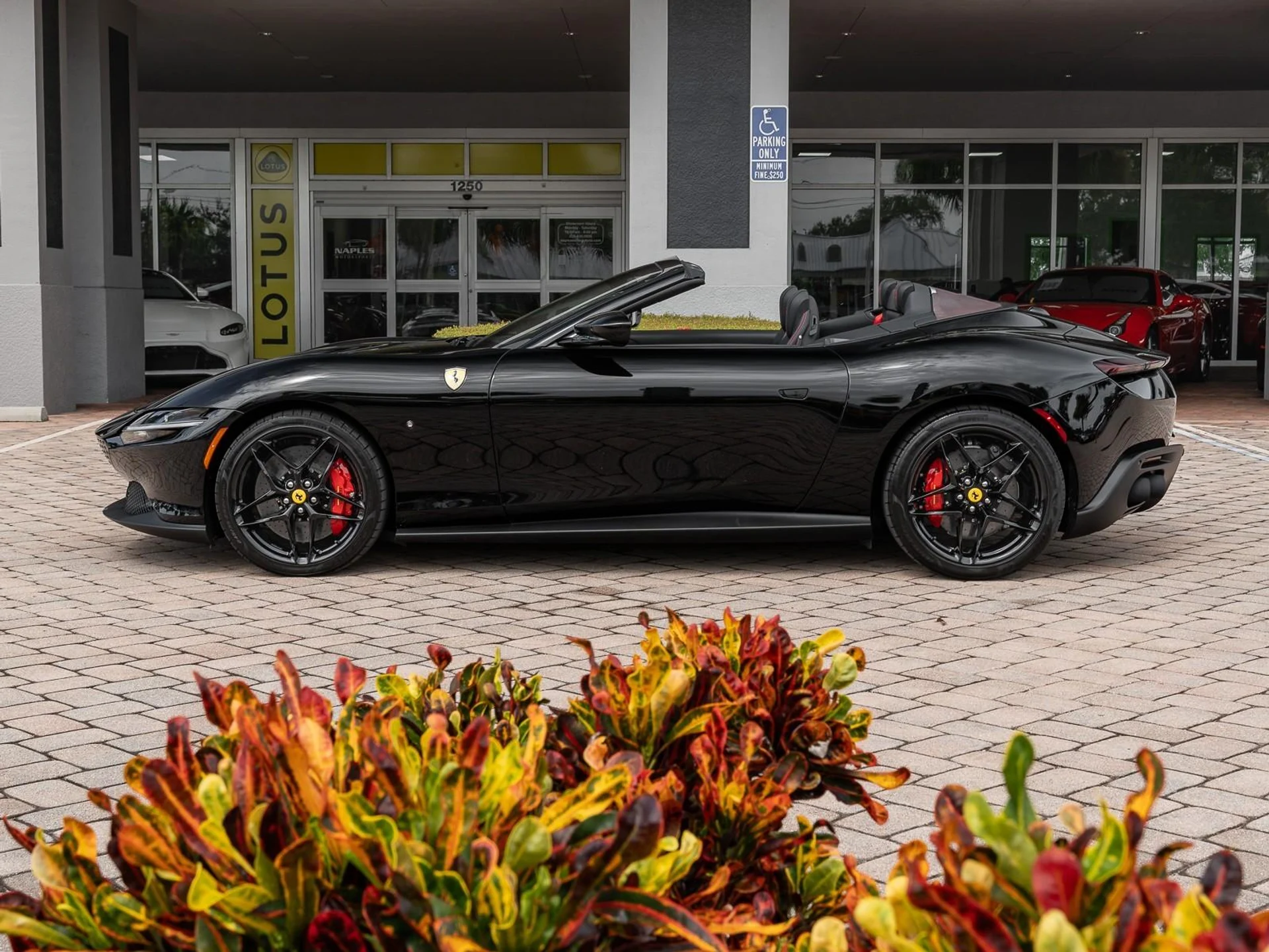 mph008_1939949935_Used_2025_Ferrari_Roma_Spider_1759774189_3c5e3709c5