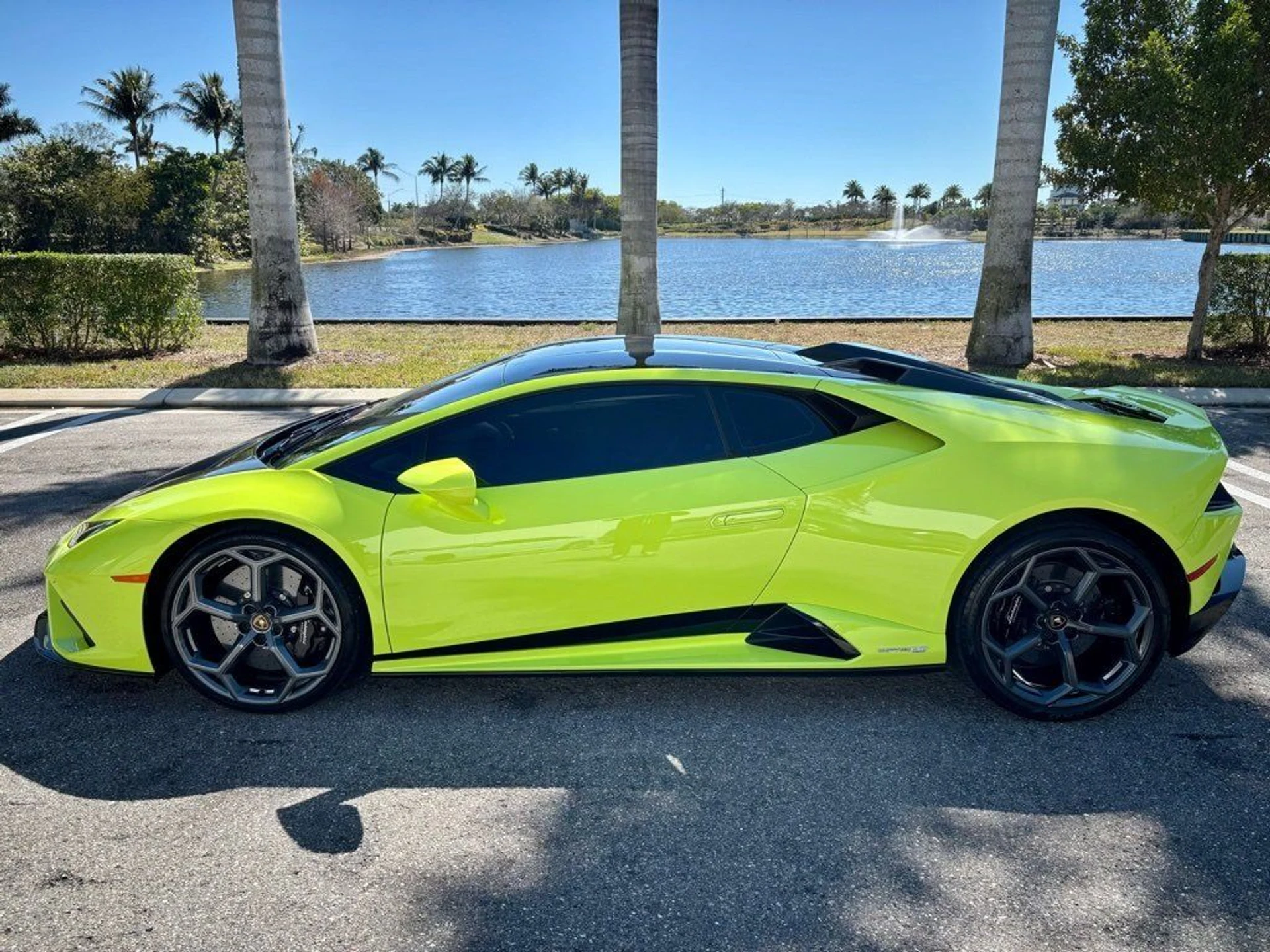 mph008_2055883950_d90cc4537271813ac9834e346793e62f_0ed1c9f6a4