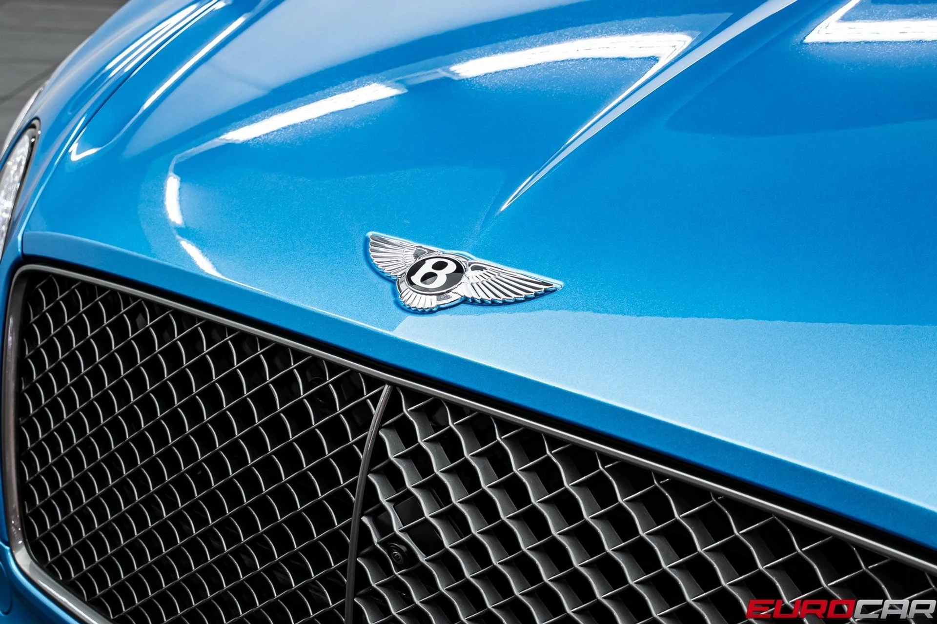 mph008_2068143026_image_9_e276571e15