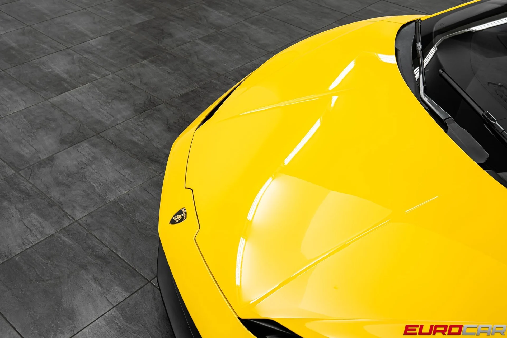 mph008_2074364987_842b5766_8736_40bb_8f2c_3d42b1c6ab4d_ae77189749