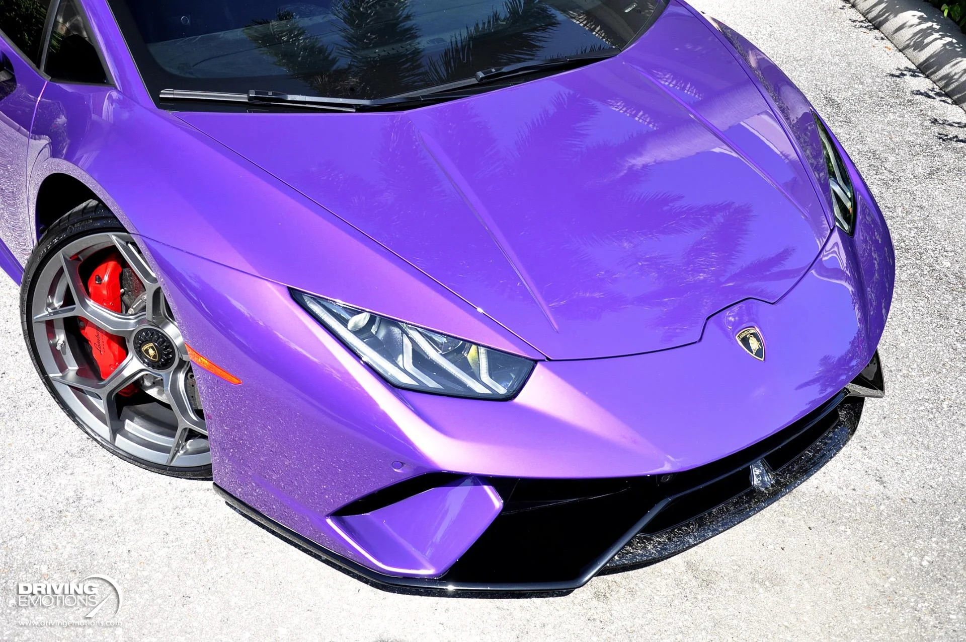 mph008_2079788987_863_p9_l_b82b896d94