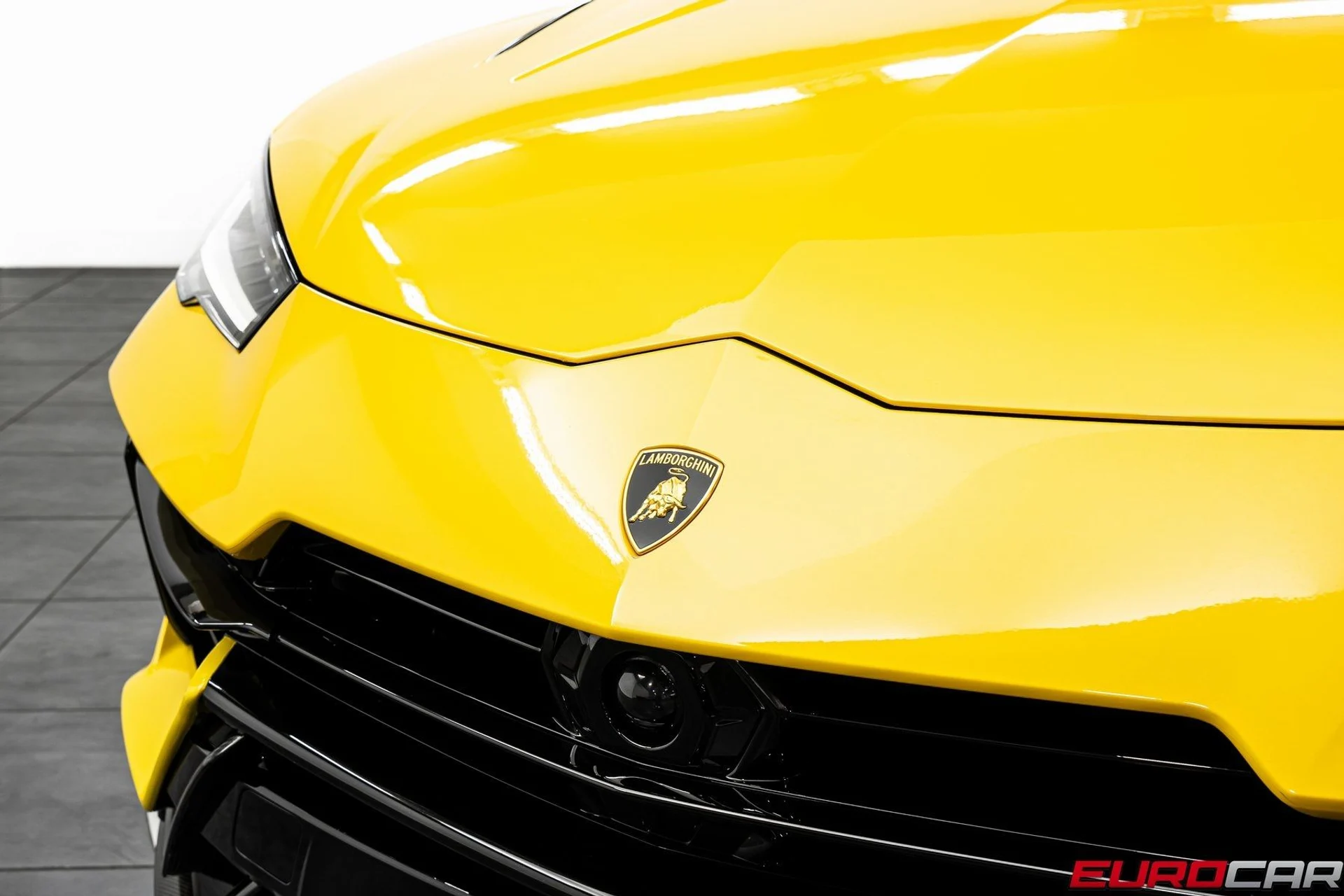 mph008_2087823422_image_9_d521df6e20