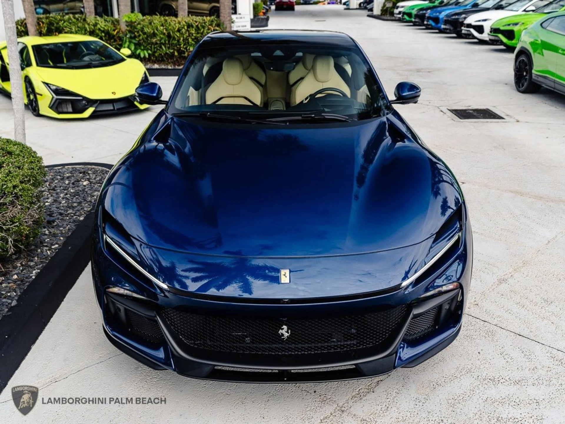 mph008_2094427373_4a1e353696cf6e8db6bf7570d3844012_c6ce34cdf4