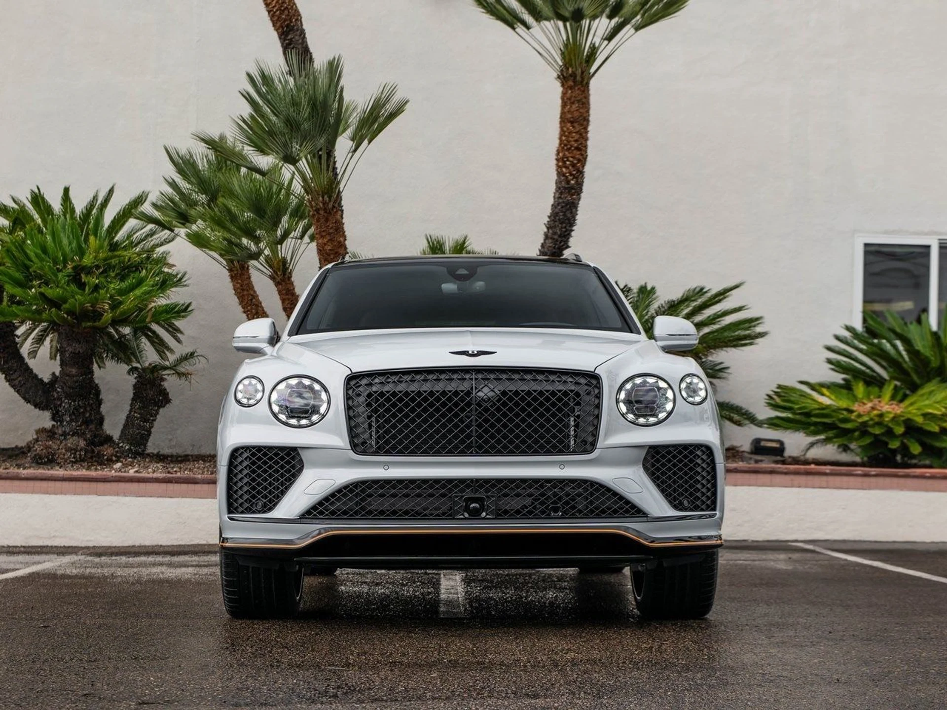 mph008_2149689996_33ae4074ef1dd67c055b825763f35152x_8c3c1dc89d