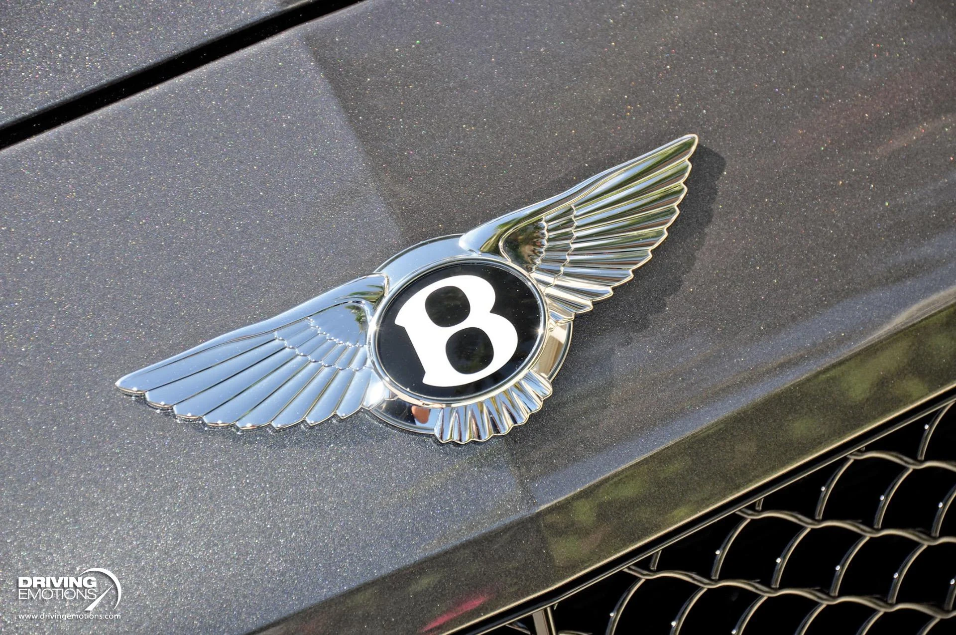 mph008_2195795922_891_p9_l_b0ba4e3b26