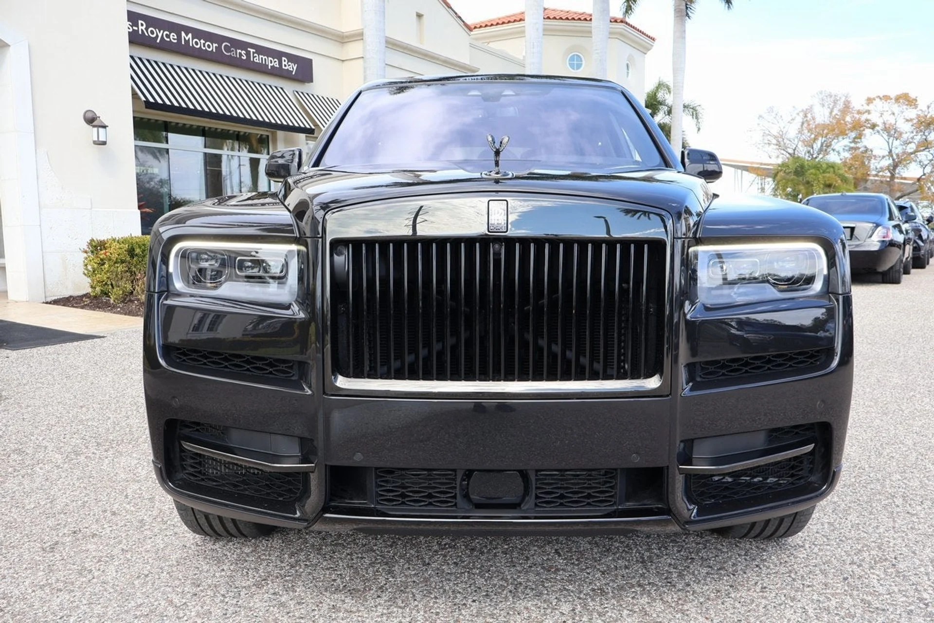 mph008_2208441312_9_fd736454de