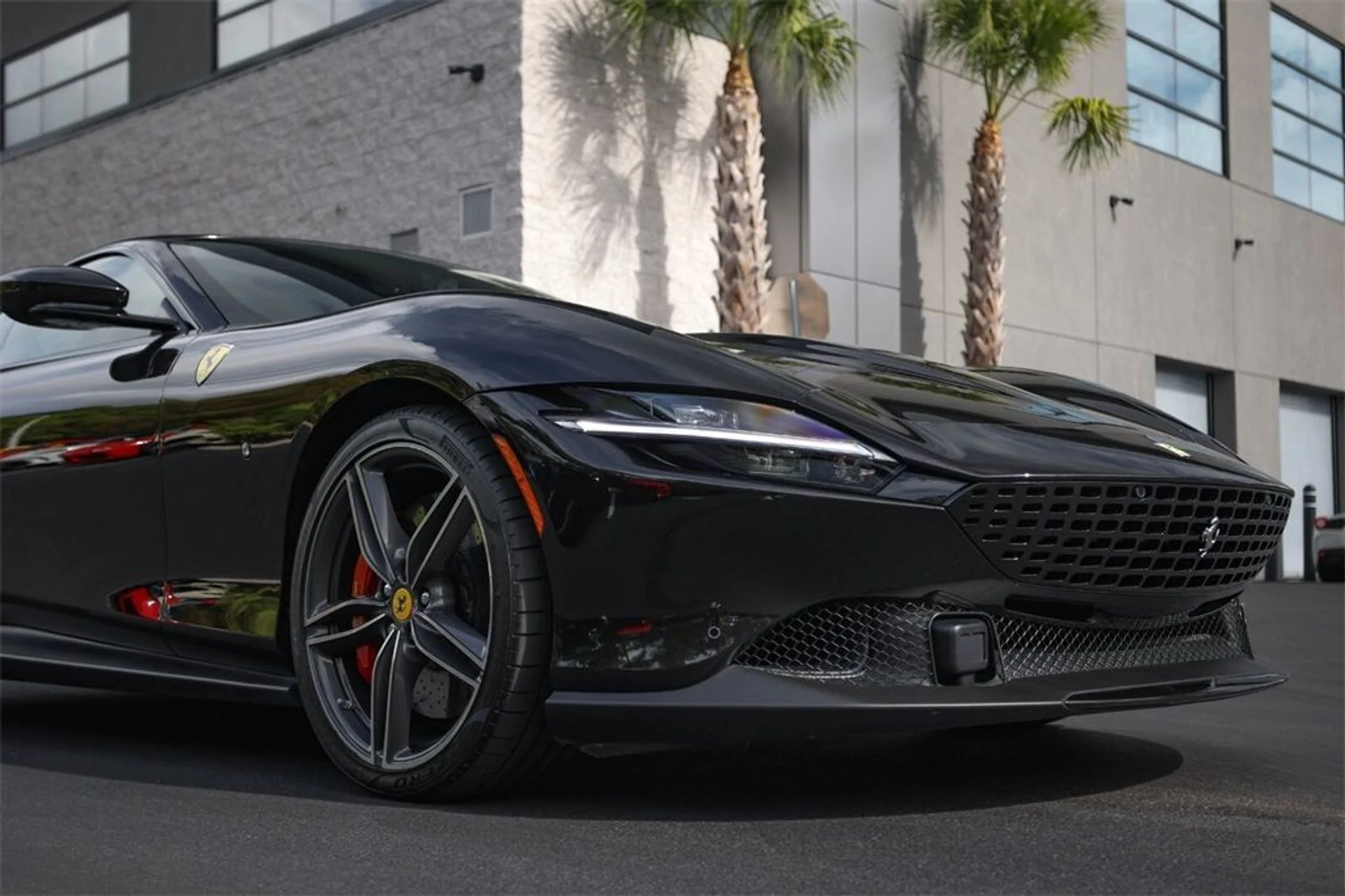 mph008_2222920178_c6af40b5466429007c5825d56978ae51_8afee8c964