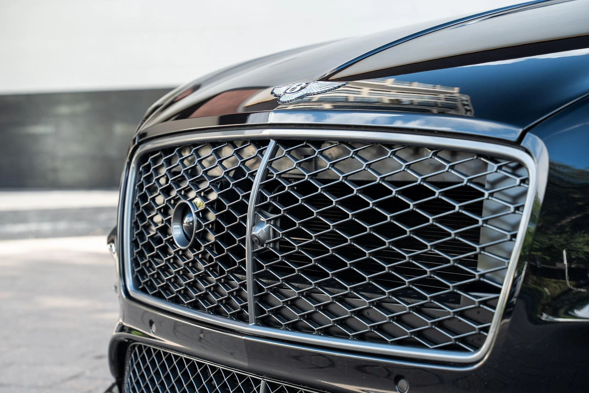 mph008_2233478890_439893878_6888577e327455e0273381ca_8664292c53