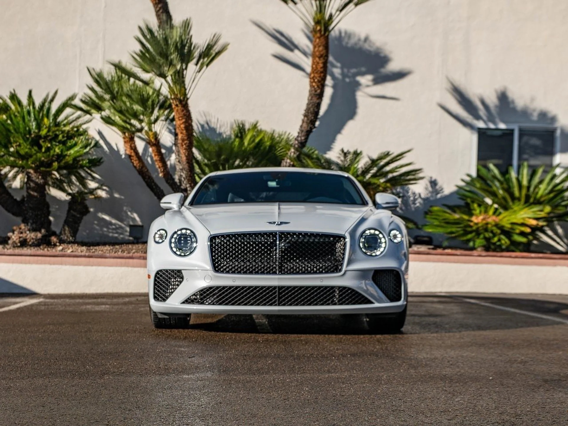 mph008_2258796033_1e2ab277e4acead38569b6e9afa5ff2dx_b5b01dec2a