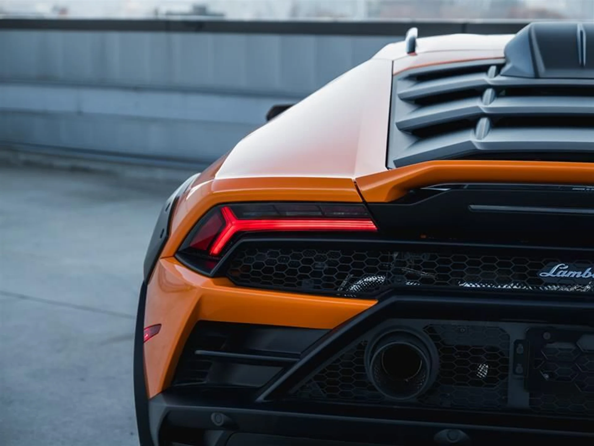 mph008_2266378124_n00bdlwc_e8f48f7bc1