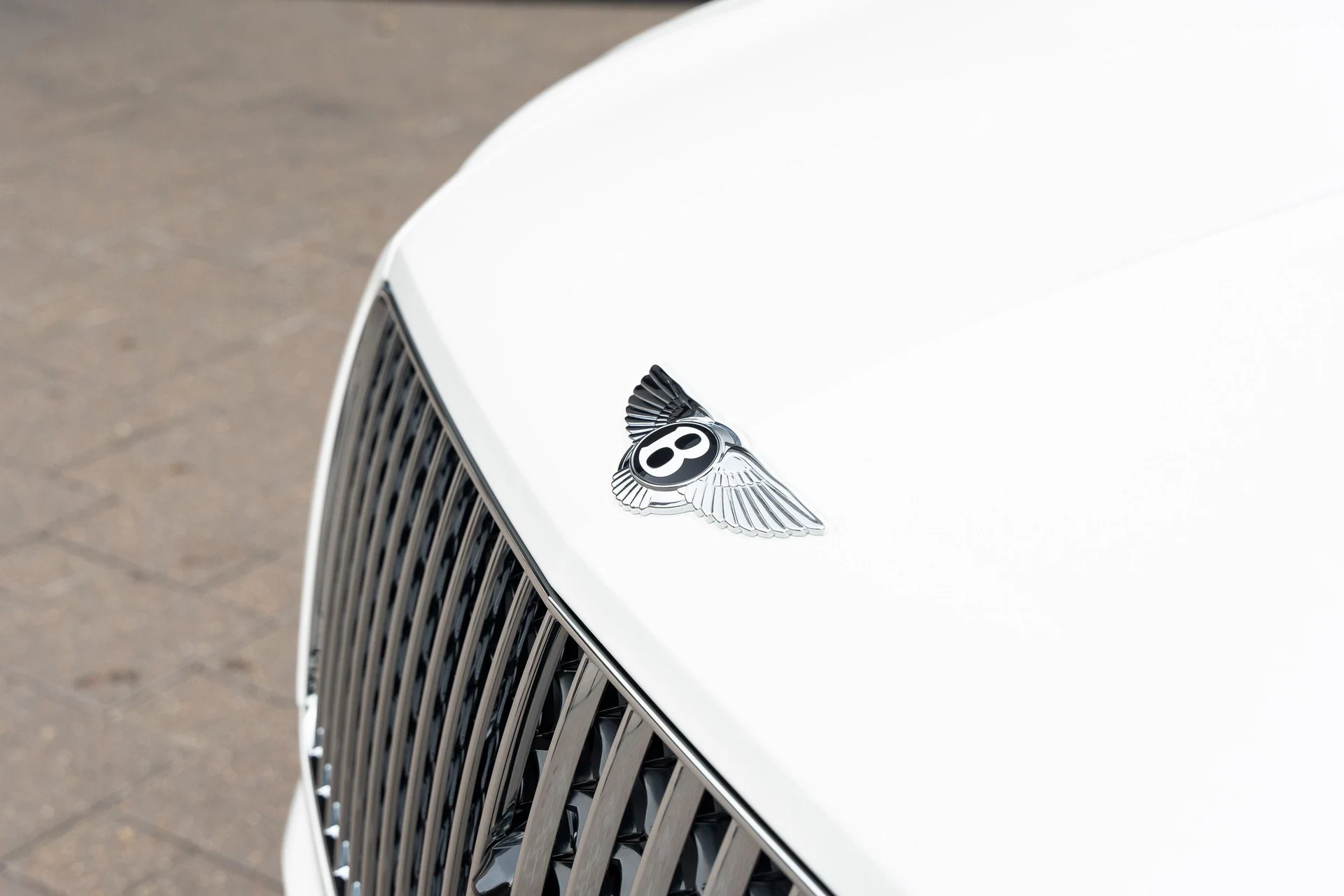 mph008_2267247126_389622358_6773653d2b7a94b33fd41a4b_6b78e2067f