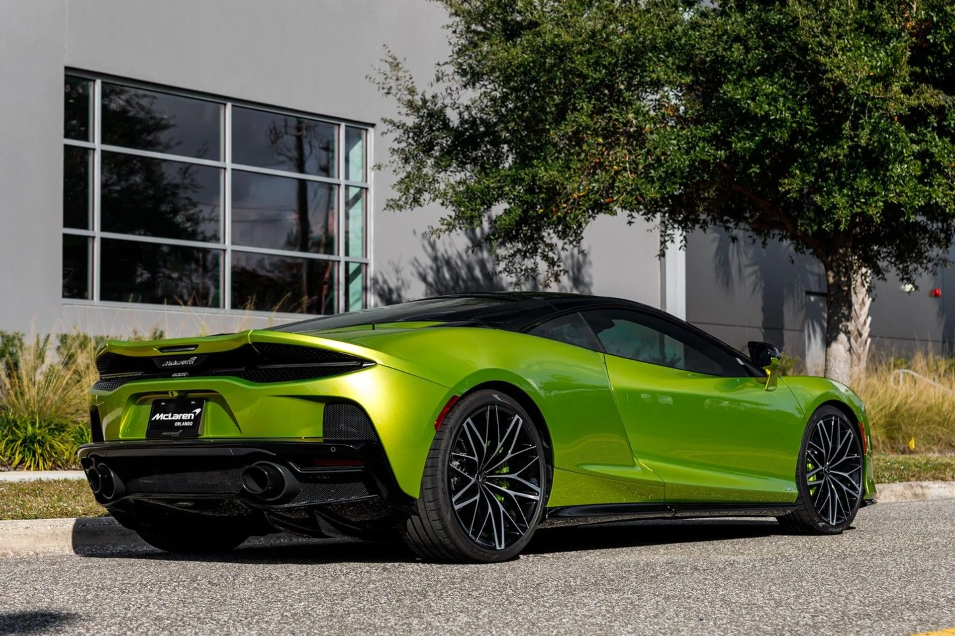 mph008_2274435718_462_p9_l_d5f75ea05c