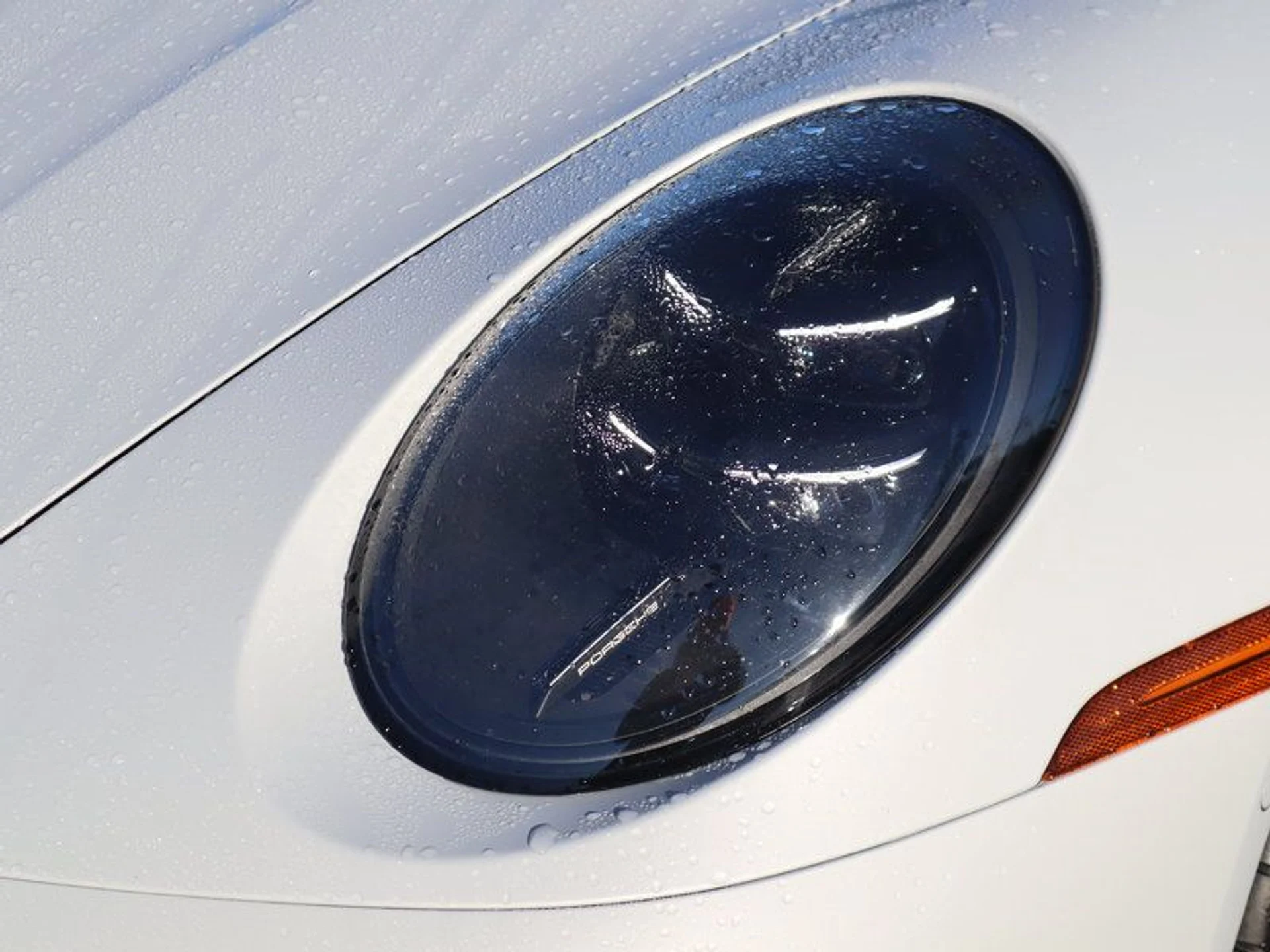 mph008_2274890163_37512047_09210_f7ee18f2b3b625d62b2b0d1c61a2eaf8_bb92f17de1