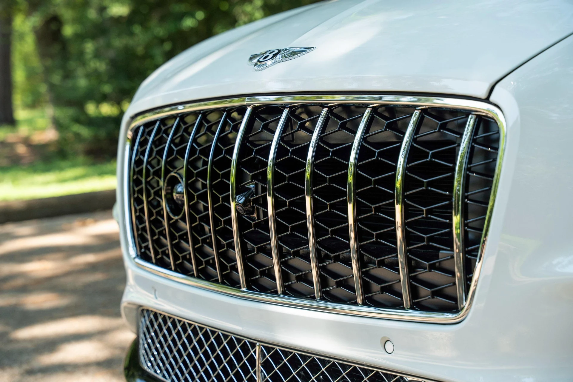 mph008_2306155268_451284869_695f544d9054447ae610809e_df6a2140e7