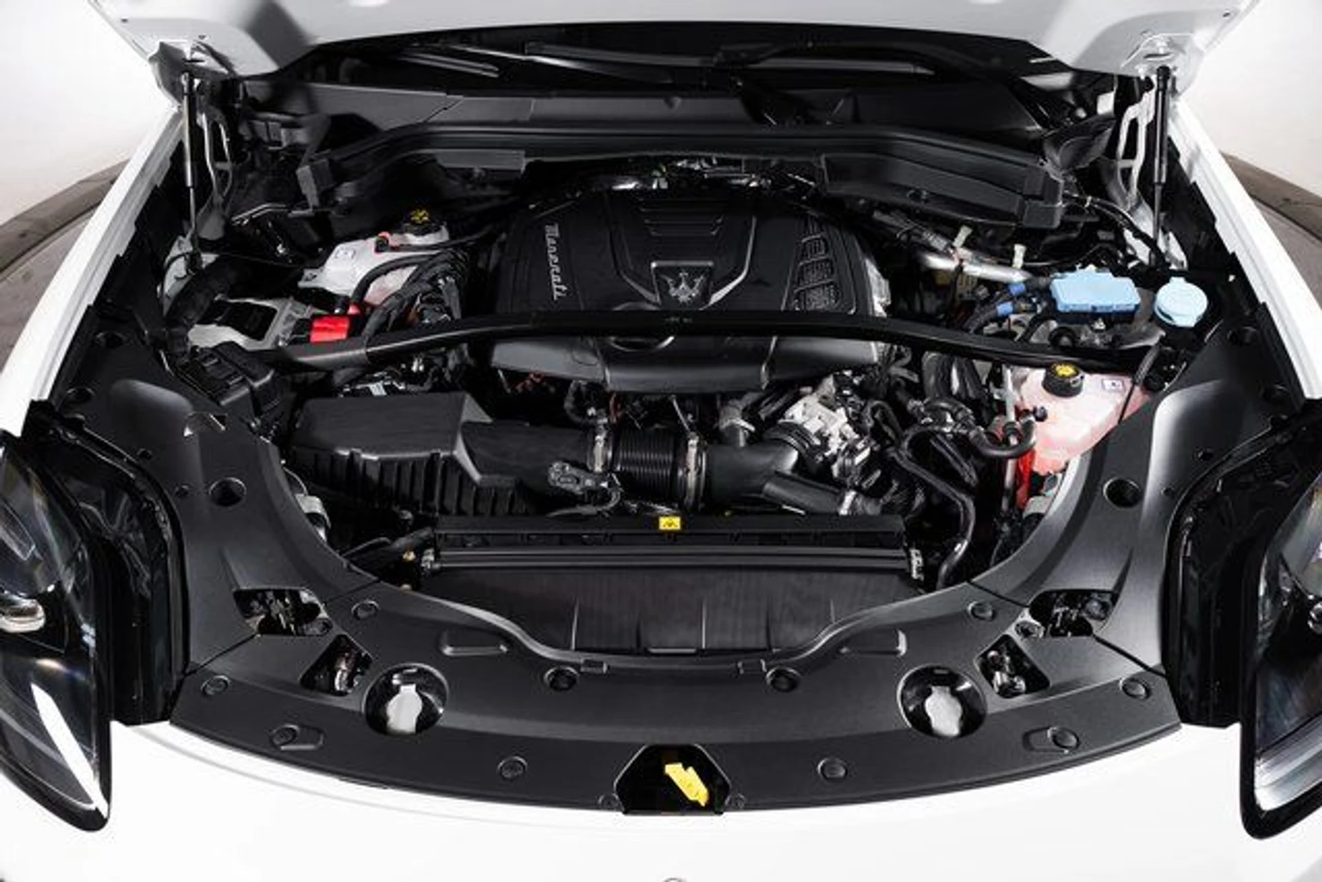 mph008_230746462_059005458f0c11001ca25a8ca56d5cd9x_ca65ee566d